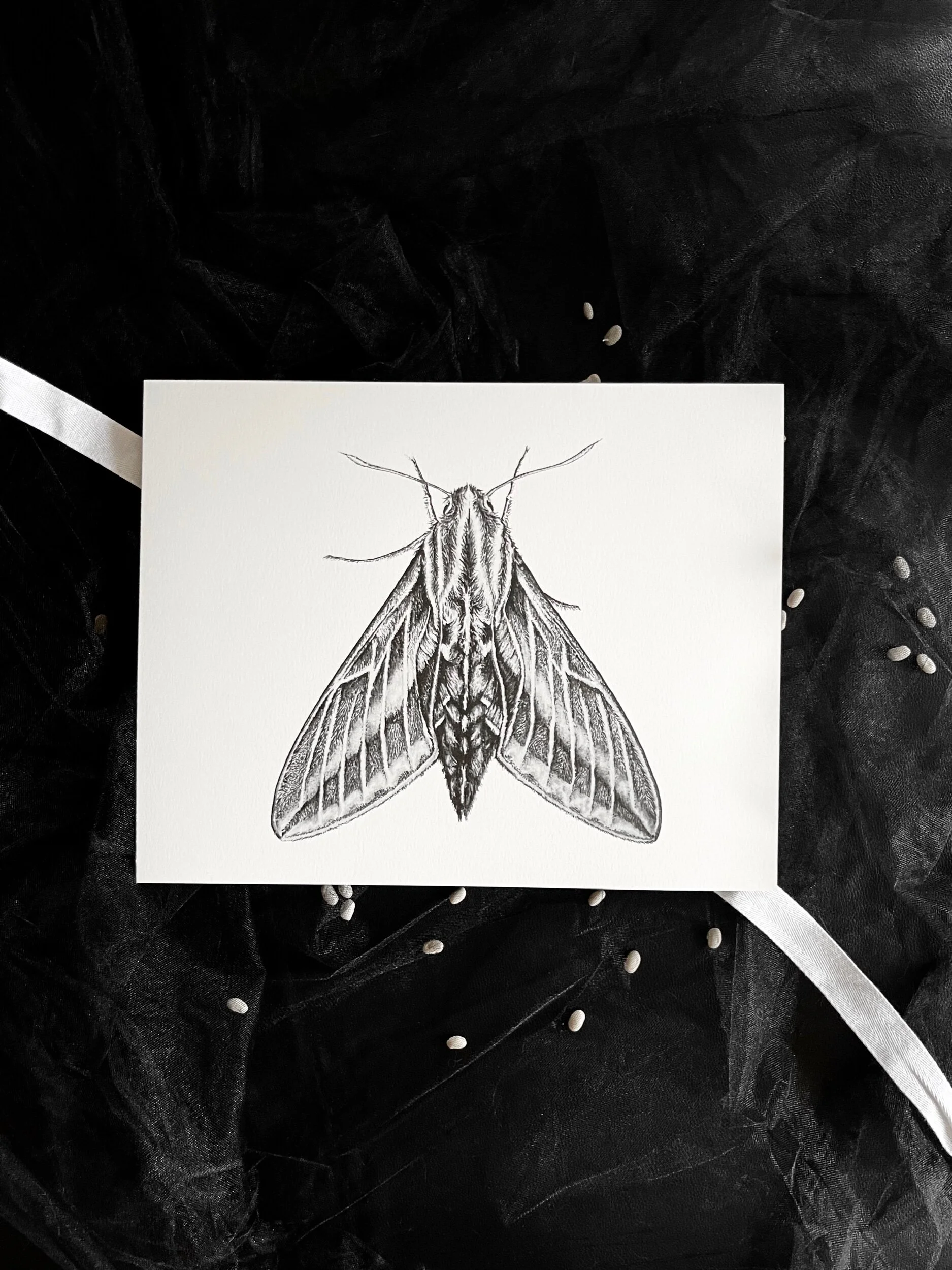 E19E86DC-0518-46F2-9C81-1C214499C597