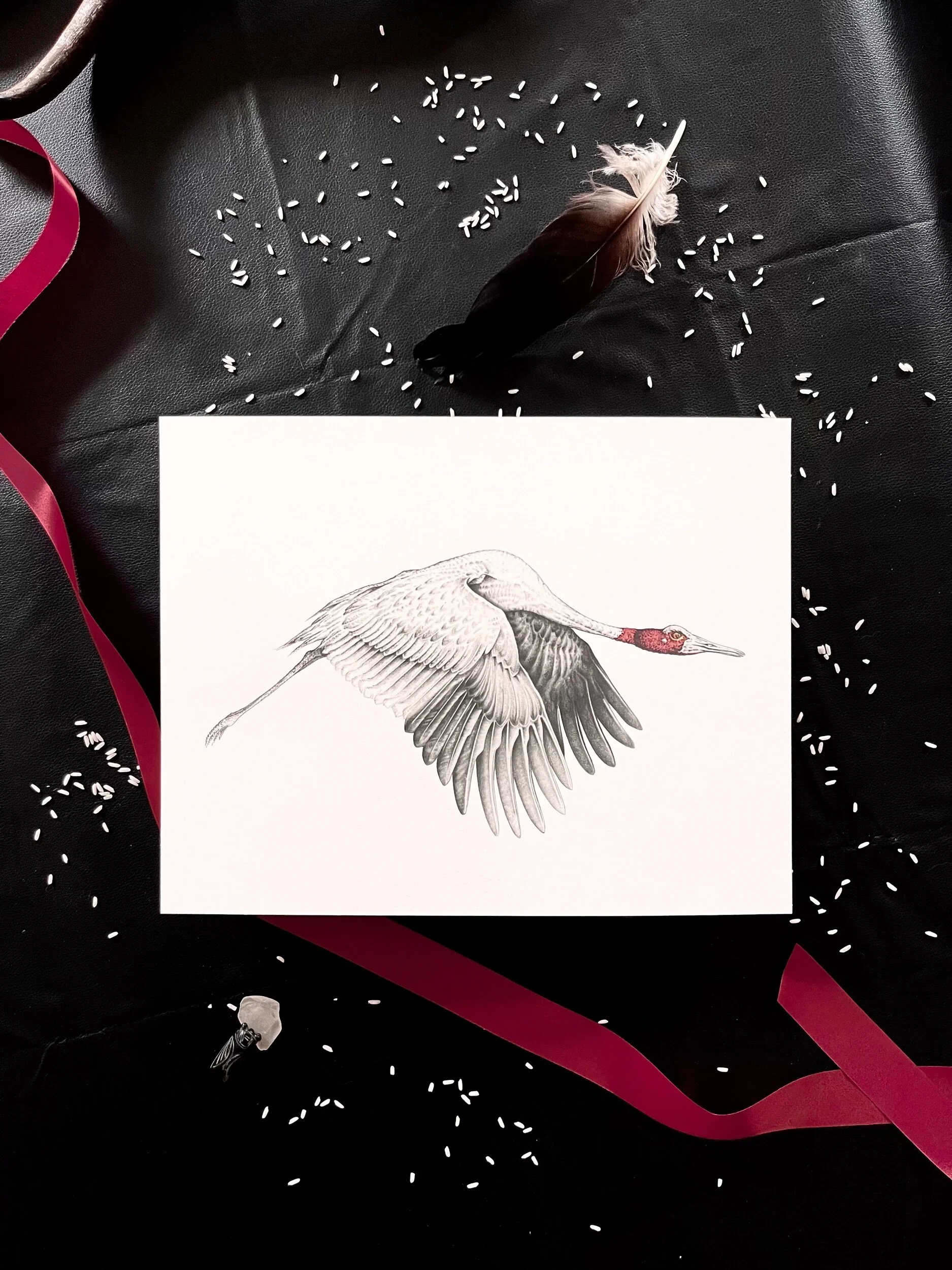 83801A6B-C185-484E-B2E2-21A4FD59D929