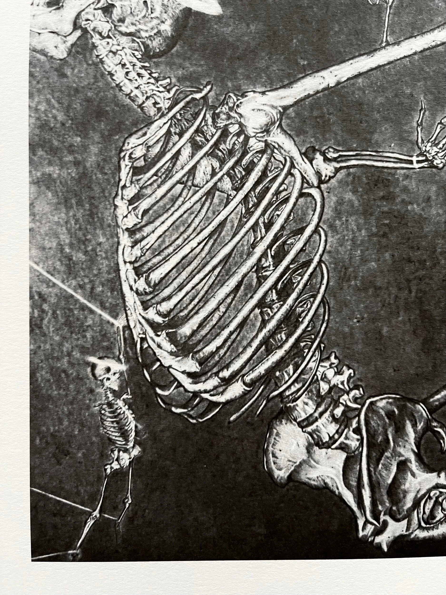 029EE3A6-3479-4B74-AB6B-5AD9D6762646