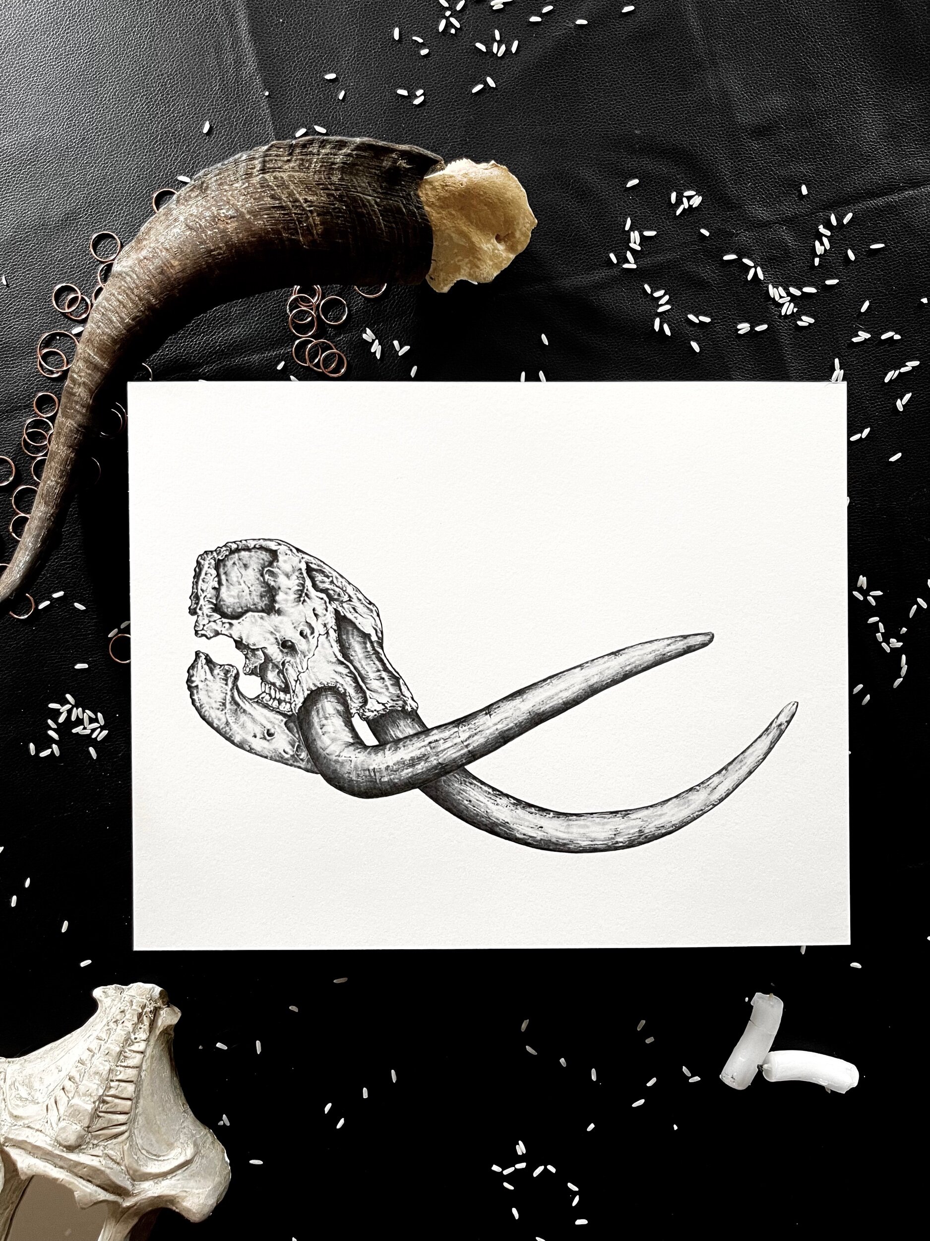 D220AEC8-489E-4894-9783-BB284F4D772D