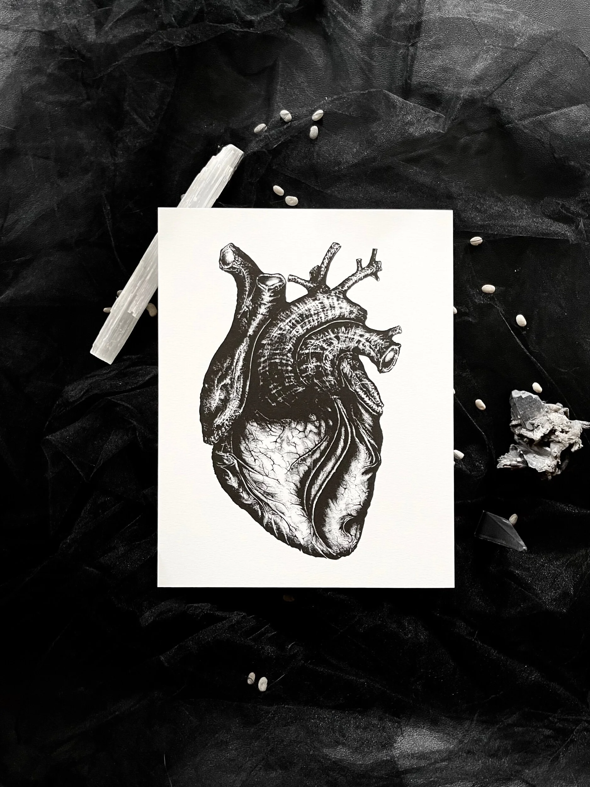 CACFE4C1-3D4D-496F-AF42-9AD416AC5A59