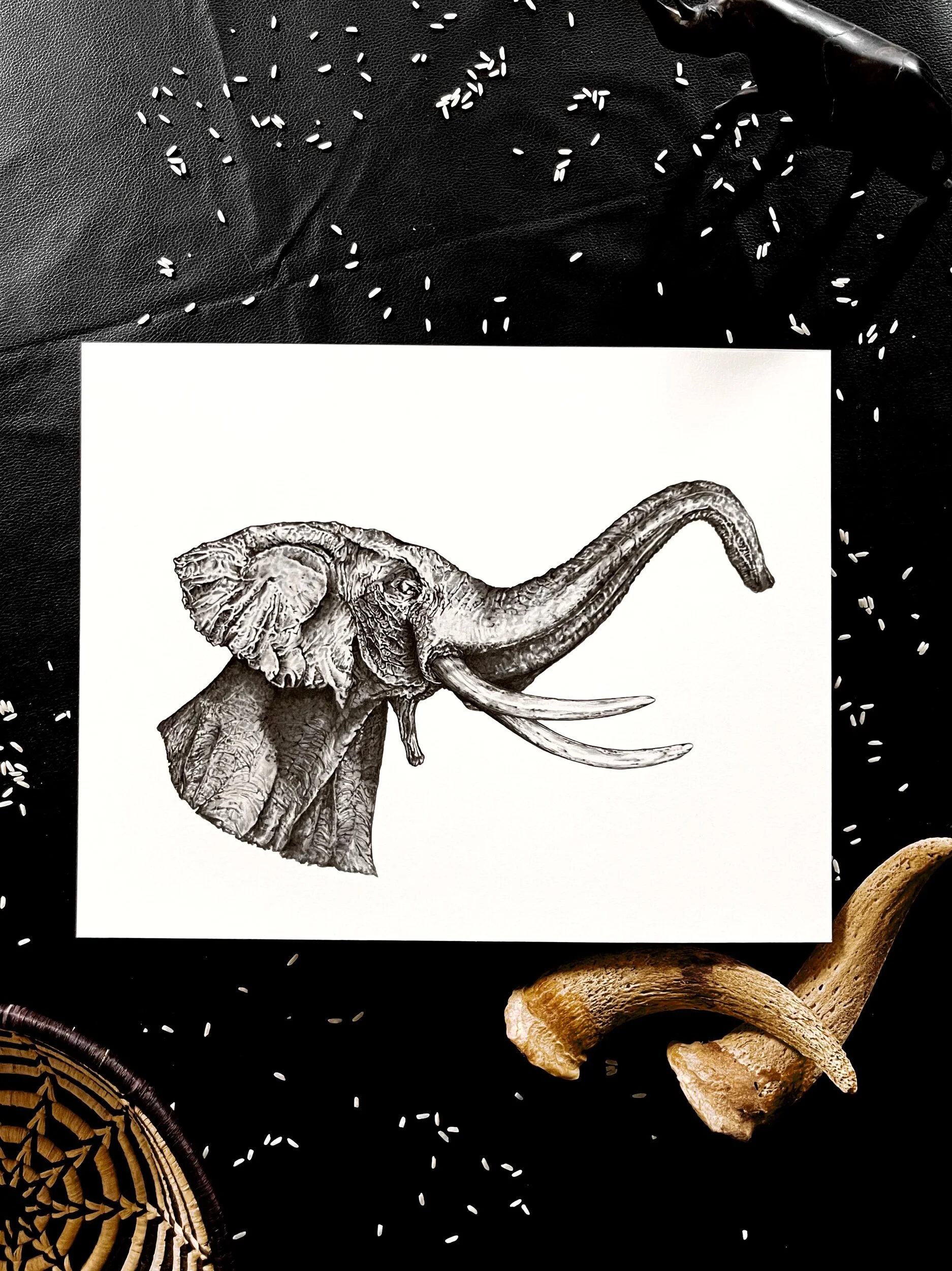 E9613168-8D2C-461F-8AE1-F25DFE1FA86E