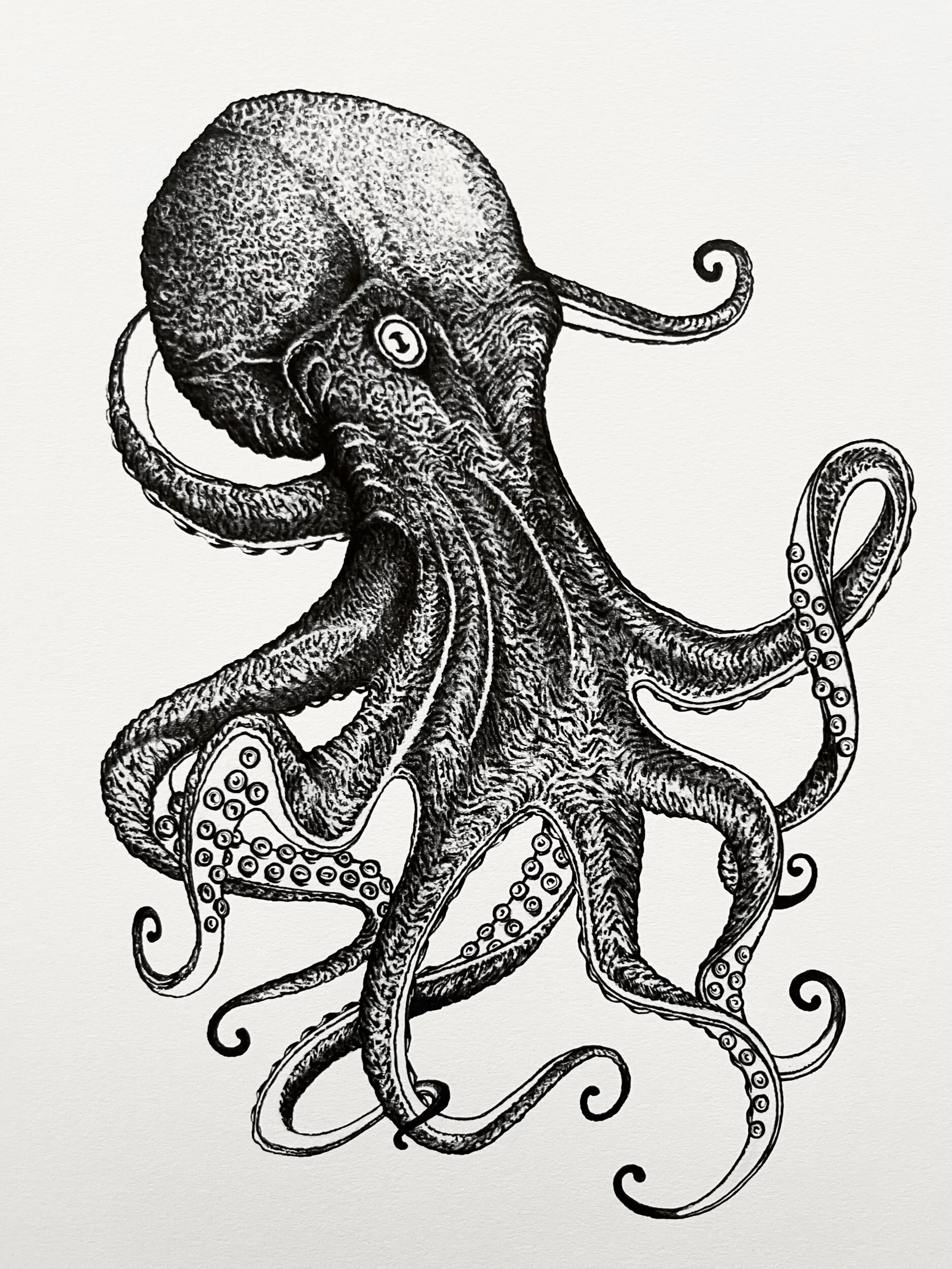 5345F869-AFDB-4B3B-914E-E594674D463F