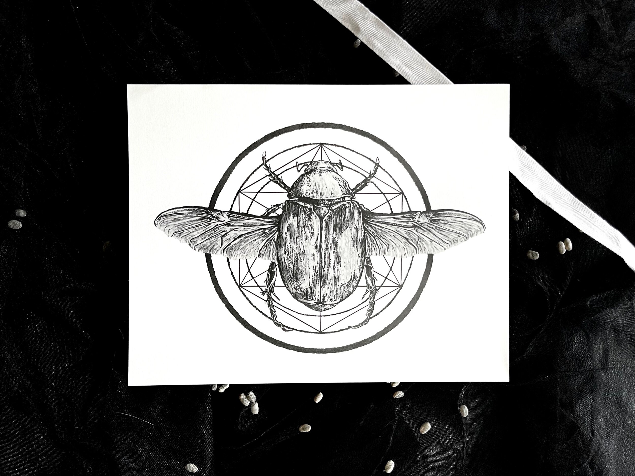 E08372B6-262D-4A81-833E-CEA8E21879A6