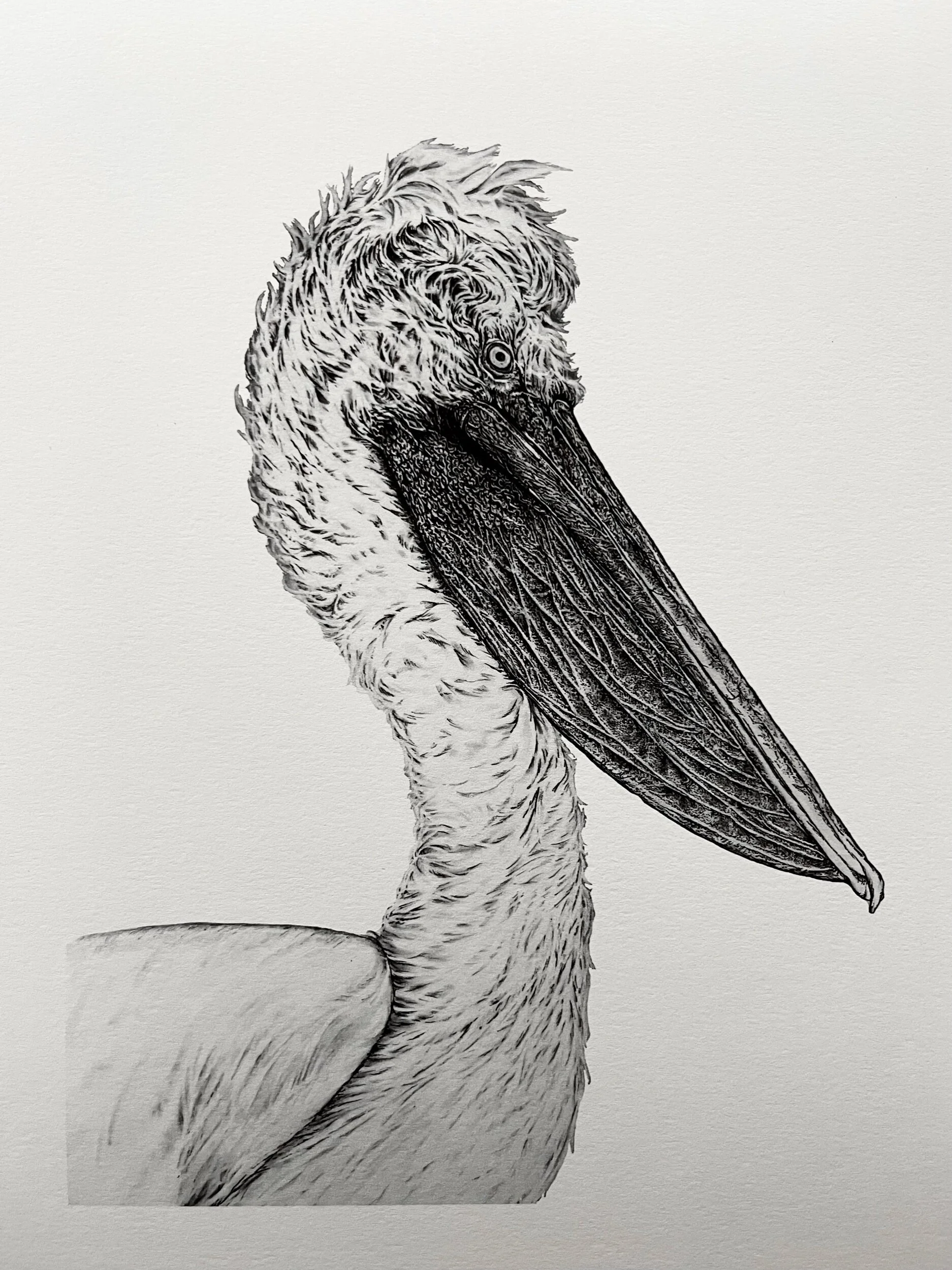 EF70E128-1803-4B03-8408-0BC517791C7B