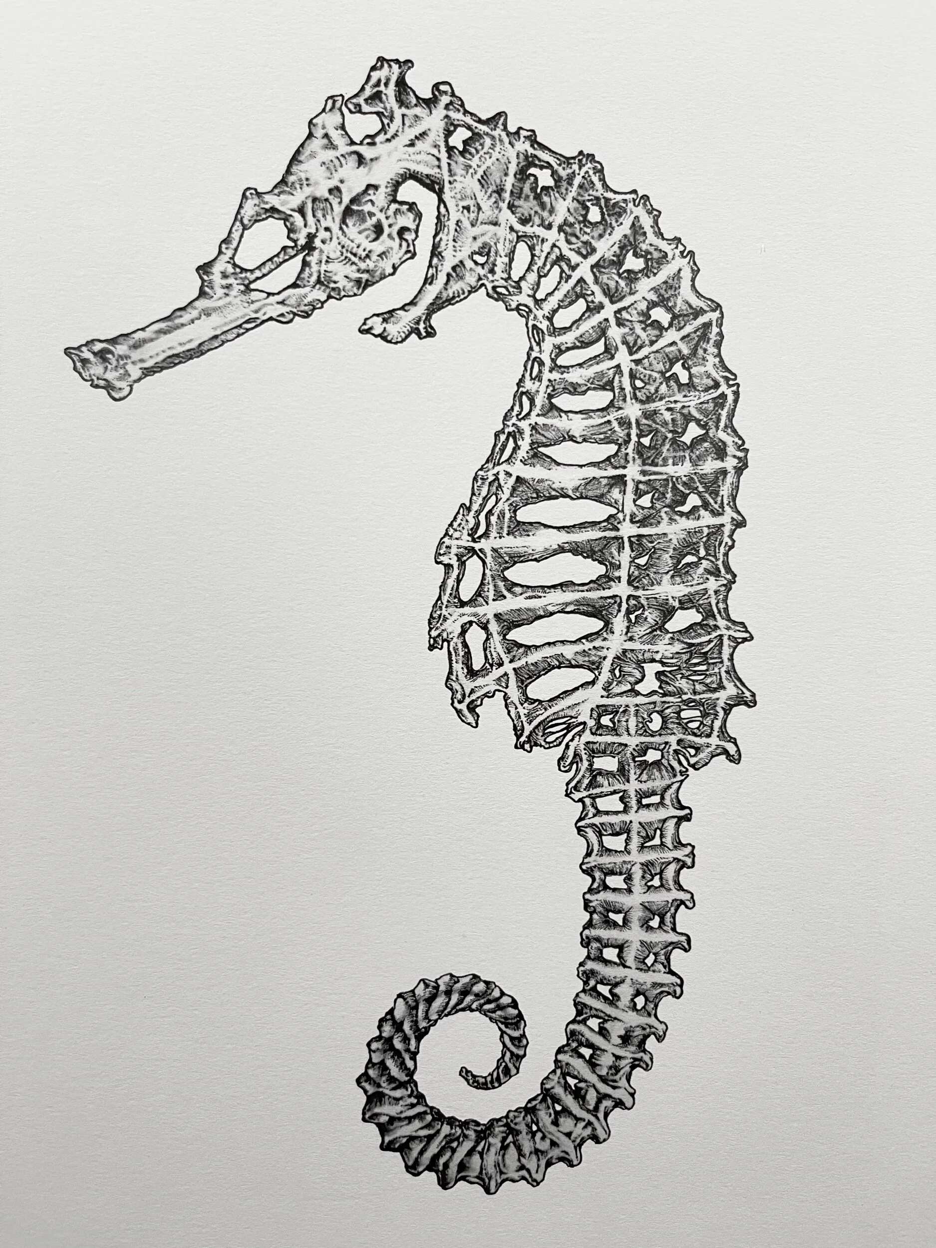 10F2589A-EAFA-47A1-81FE-0EE69FDAD5CF