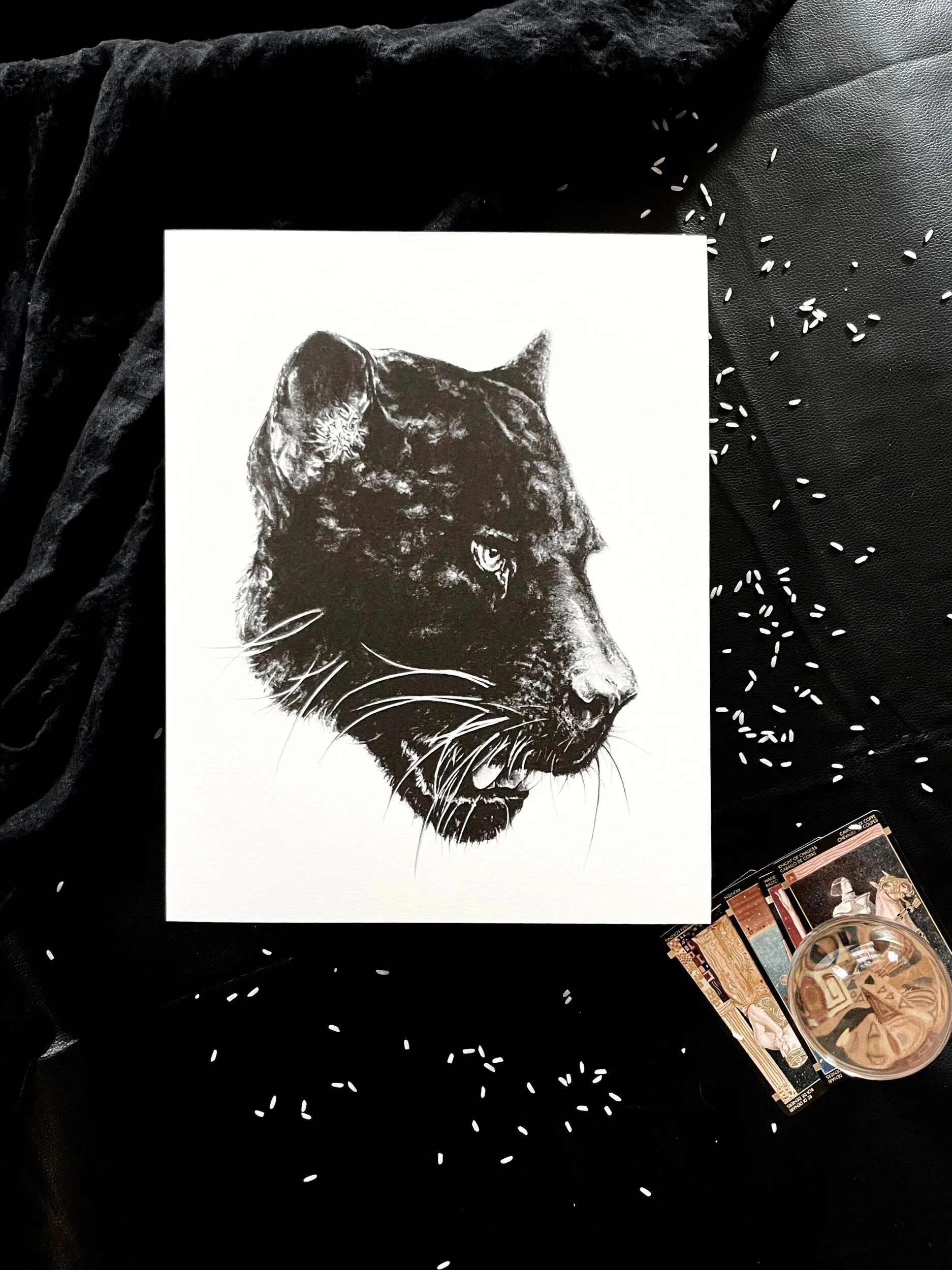 4061F24F-FCE4-4589-B89C-647F283F5002