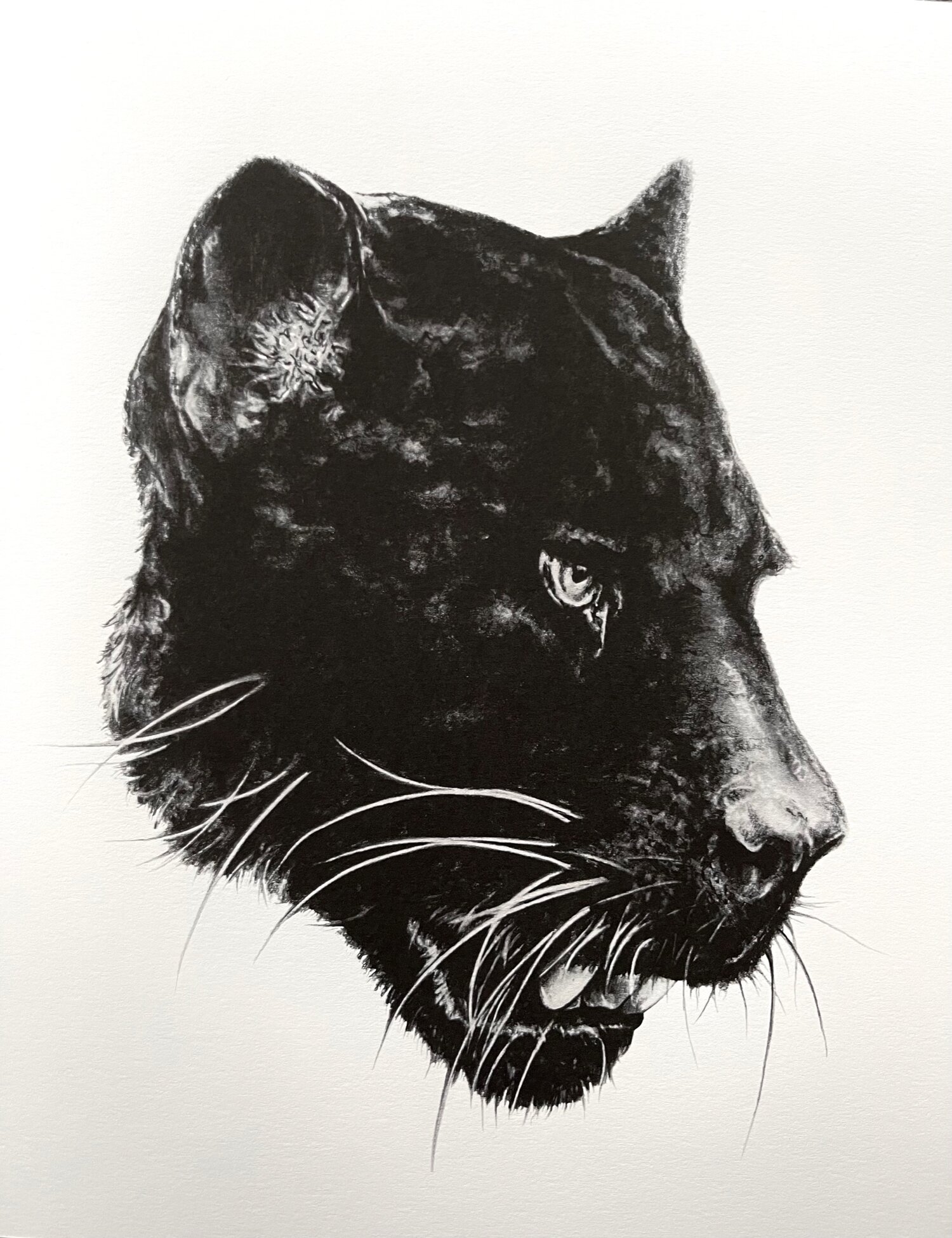 Panther Printing