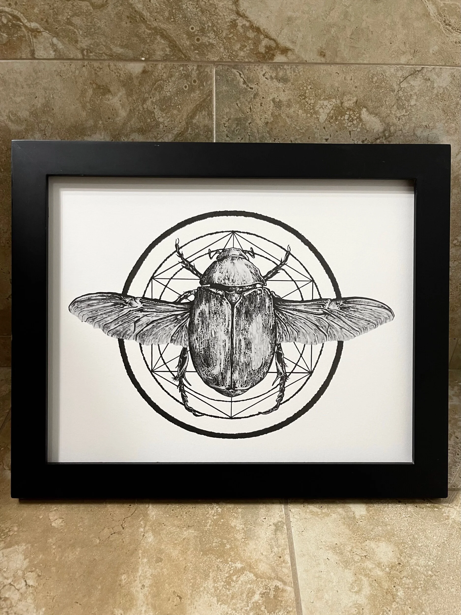 E38CC29B-AE5F-4AD6-B104-440C95DF63D3