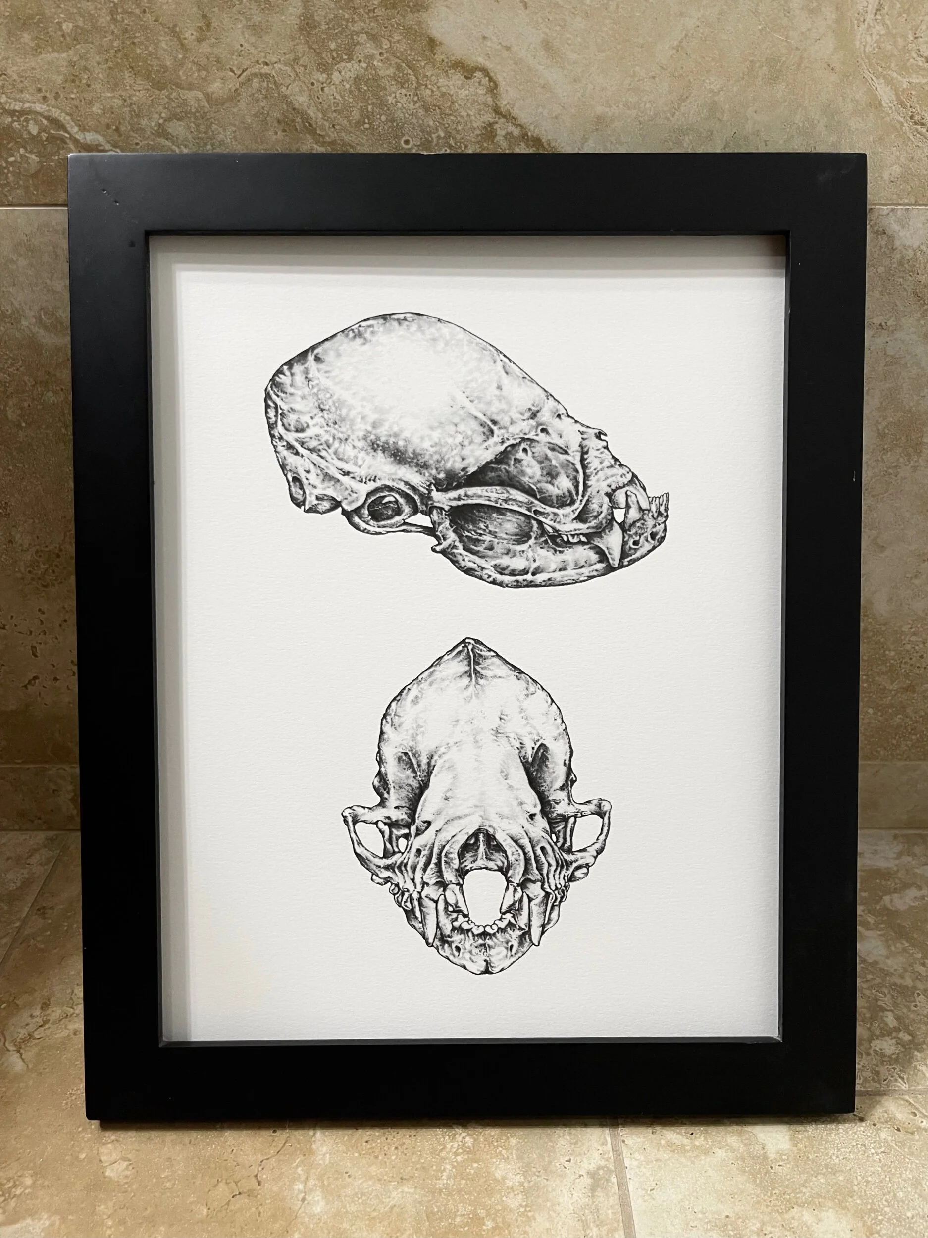 FCCE5ACF-9203-4E8F-B782-E9D0DA5B78AA