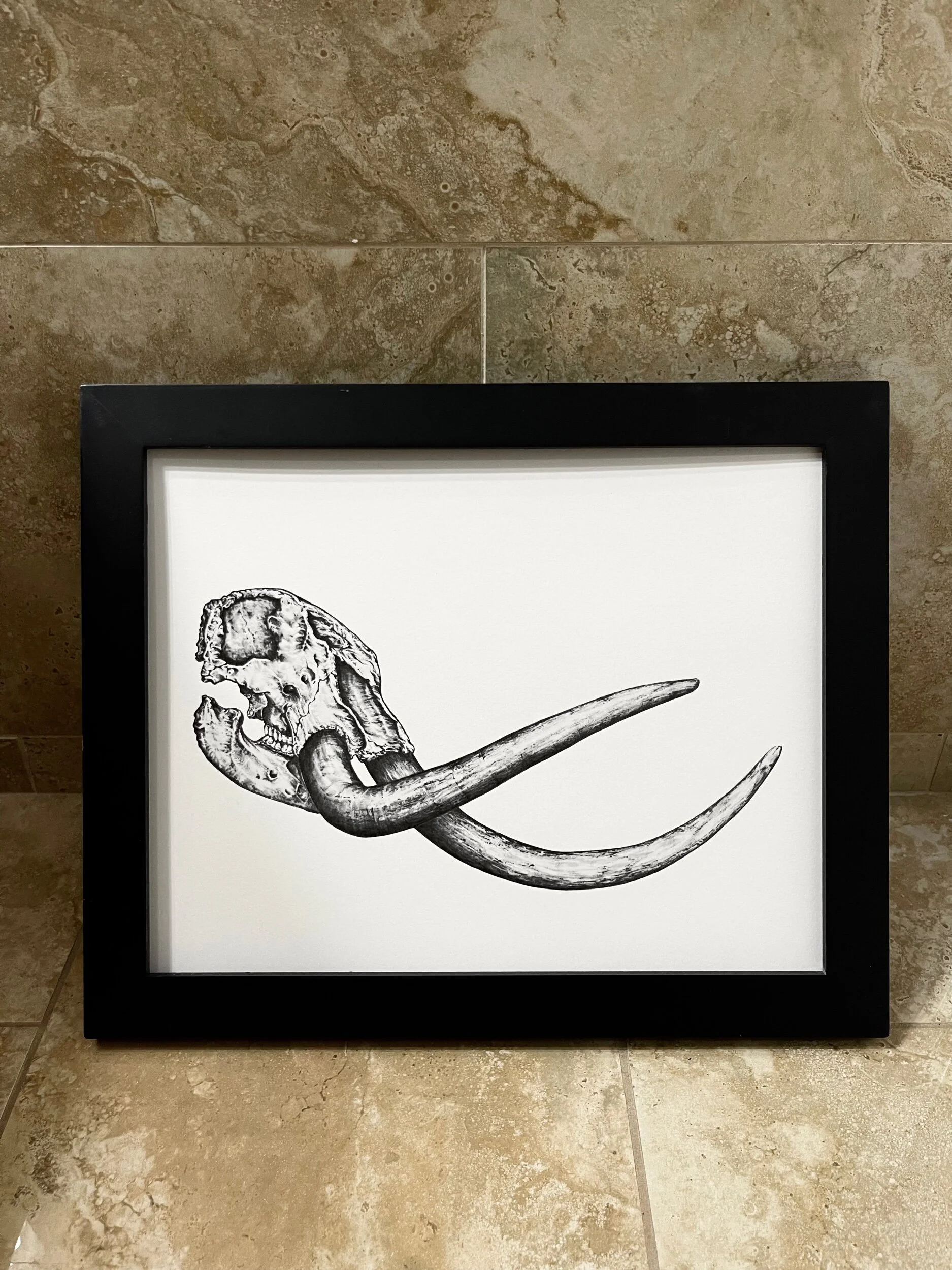 962EDAB1-FFF5-4E98-85B2-CD2E510BFFDC