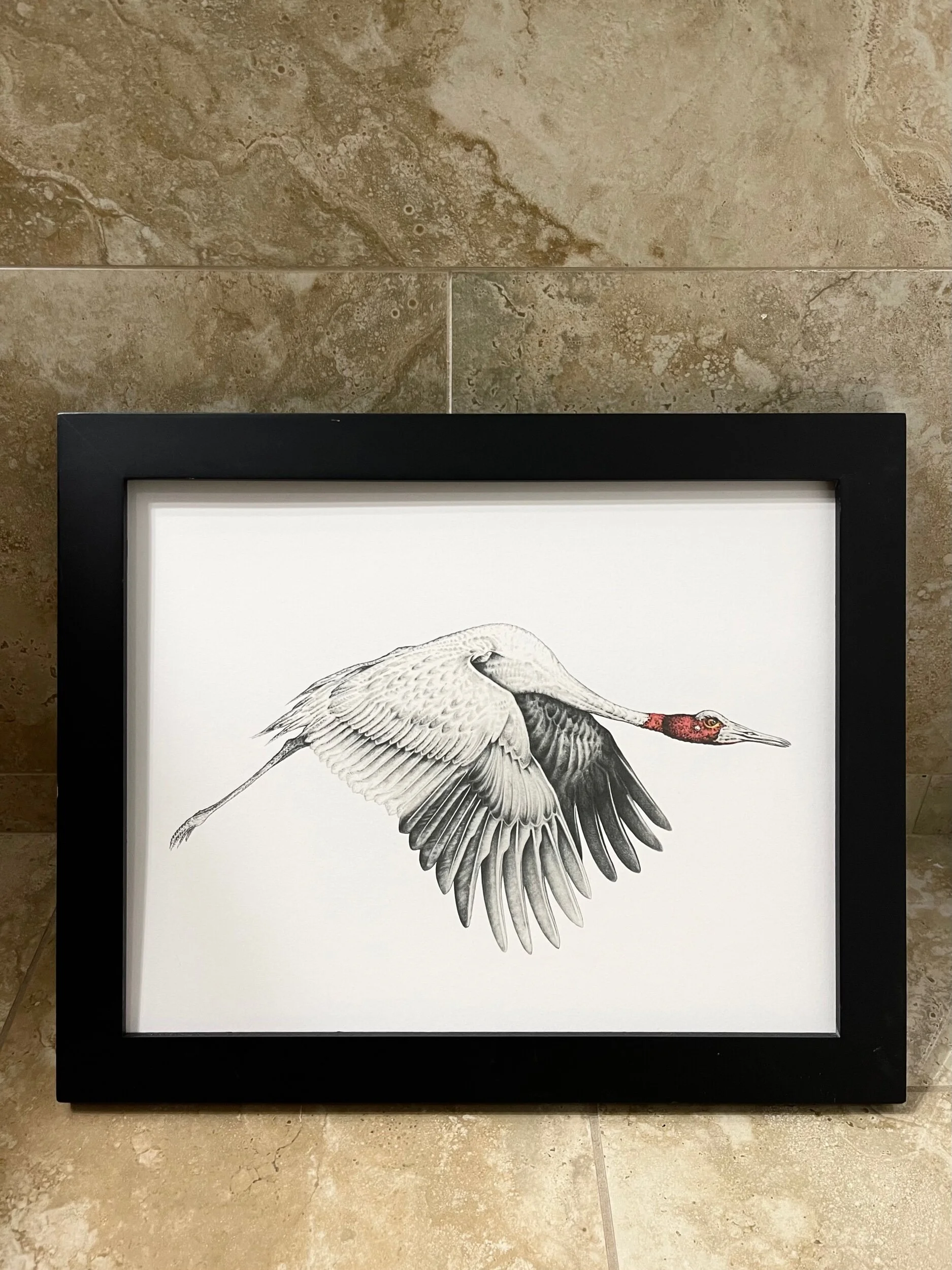 BD88F4F0-95D9-4ED8-AEC8-8517F1BB2CB5