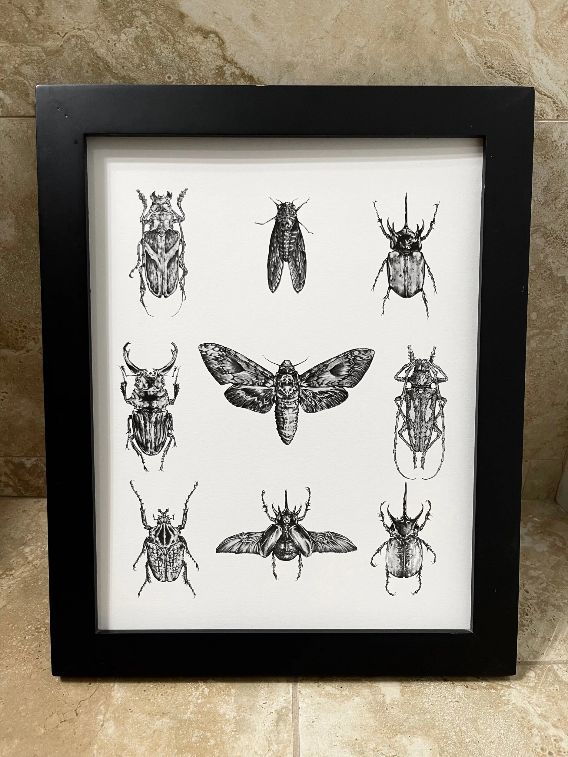 82F73B79-C3E3-4B2F-8B71-3292A5F97F8C