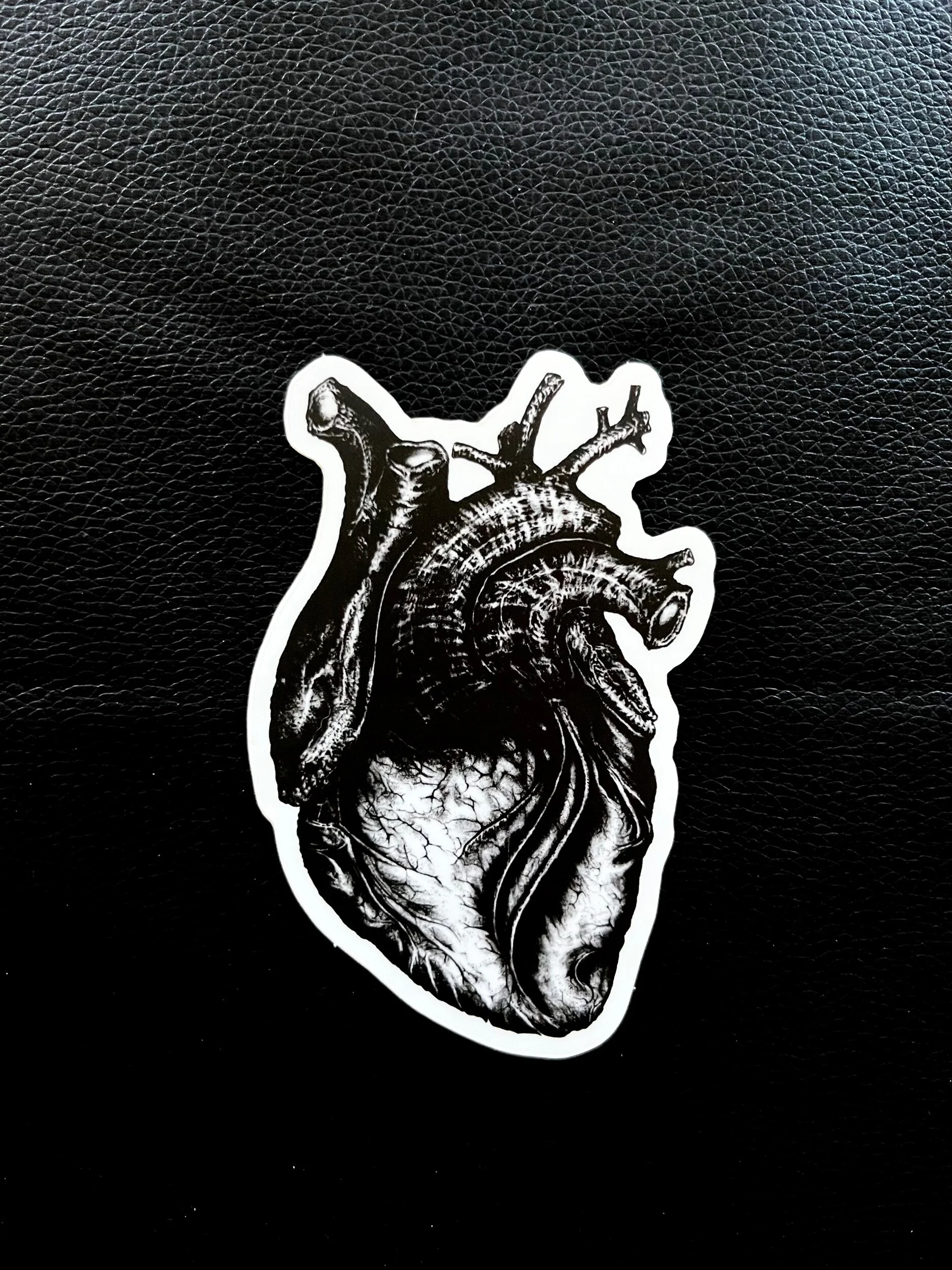 33C87E91-01E0-43B9-9C24-30E4F68F36E6