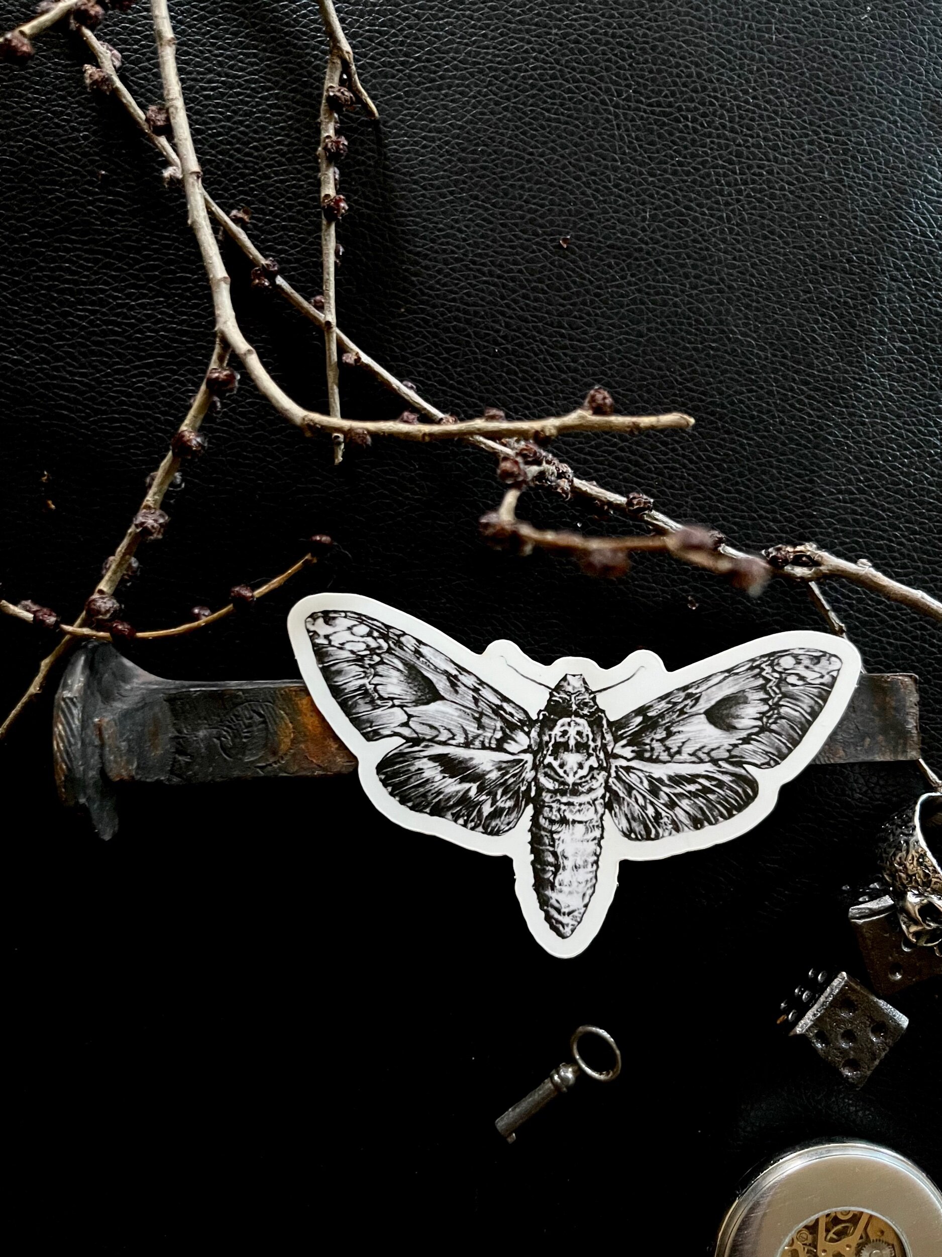 80510C9D-B92B-4A18-8C3A-6B6713B72494