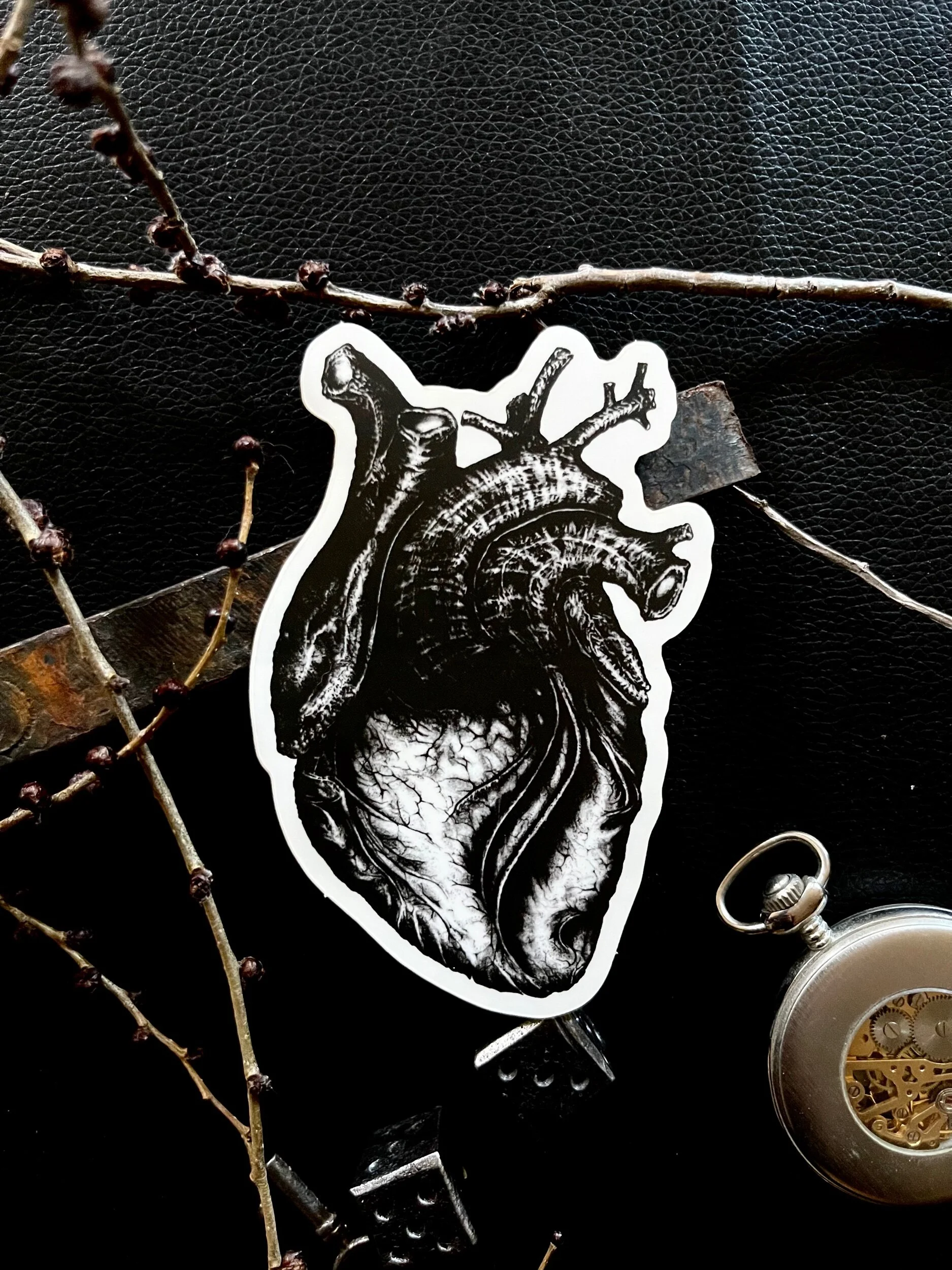 FB7A3114-D393-47DF-9FB9-BBE68B9FAD7B