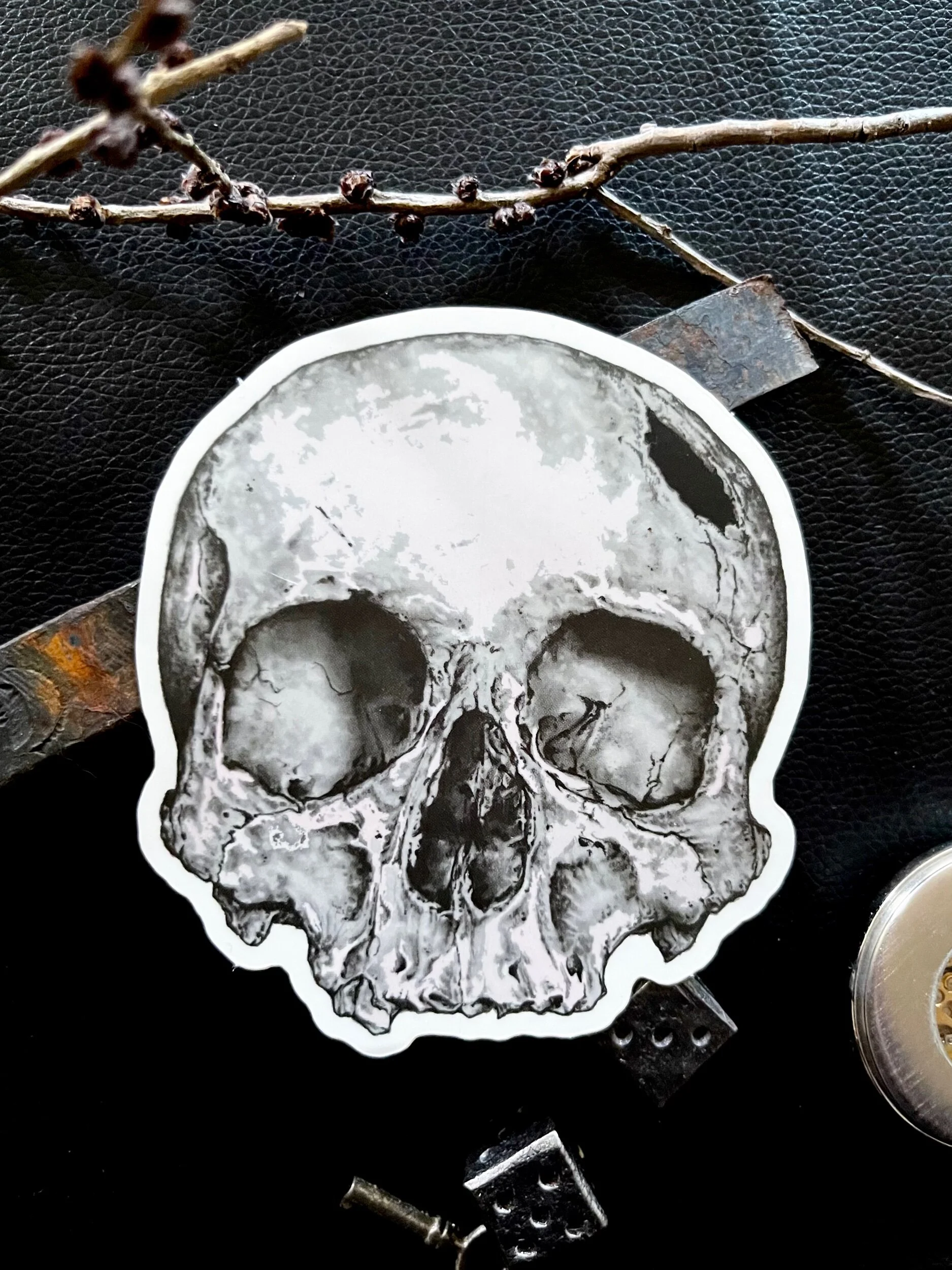 6AAABAE5-779F-43D7-A05B-E8AD23DEFB68