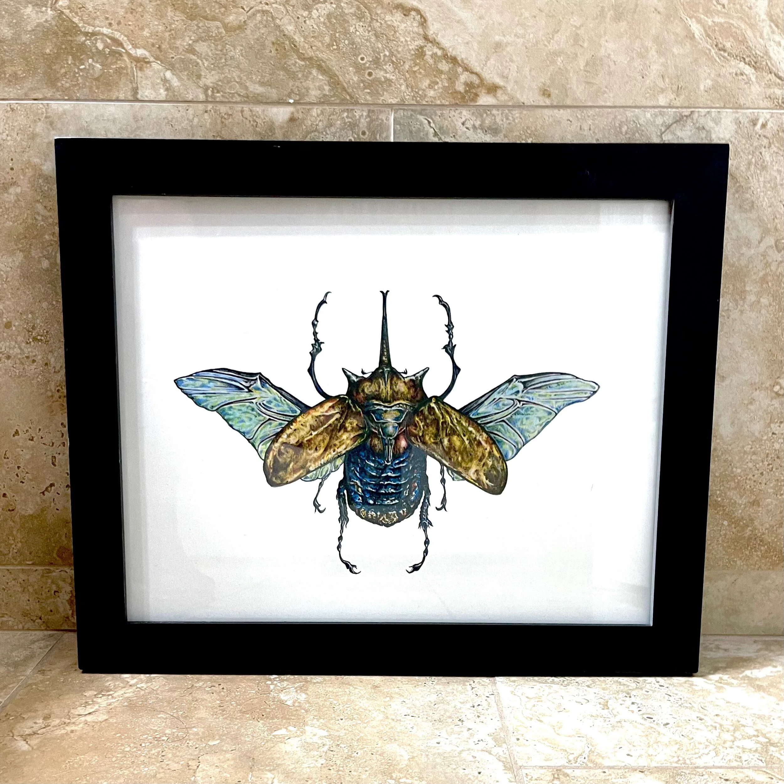 08EBB8B6-0424-43A6-A126-4AA5A2D71A10