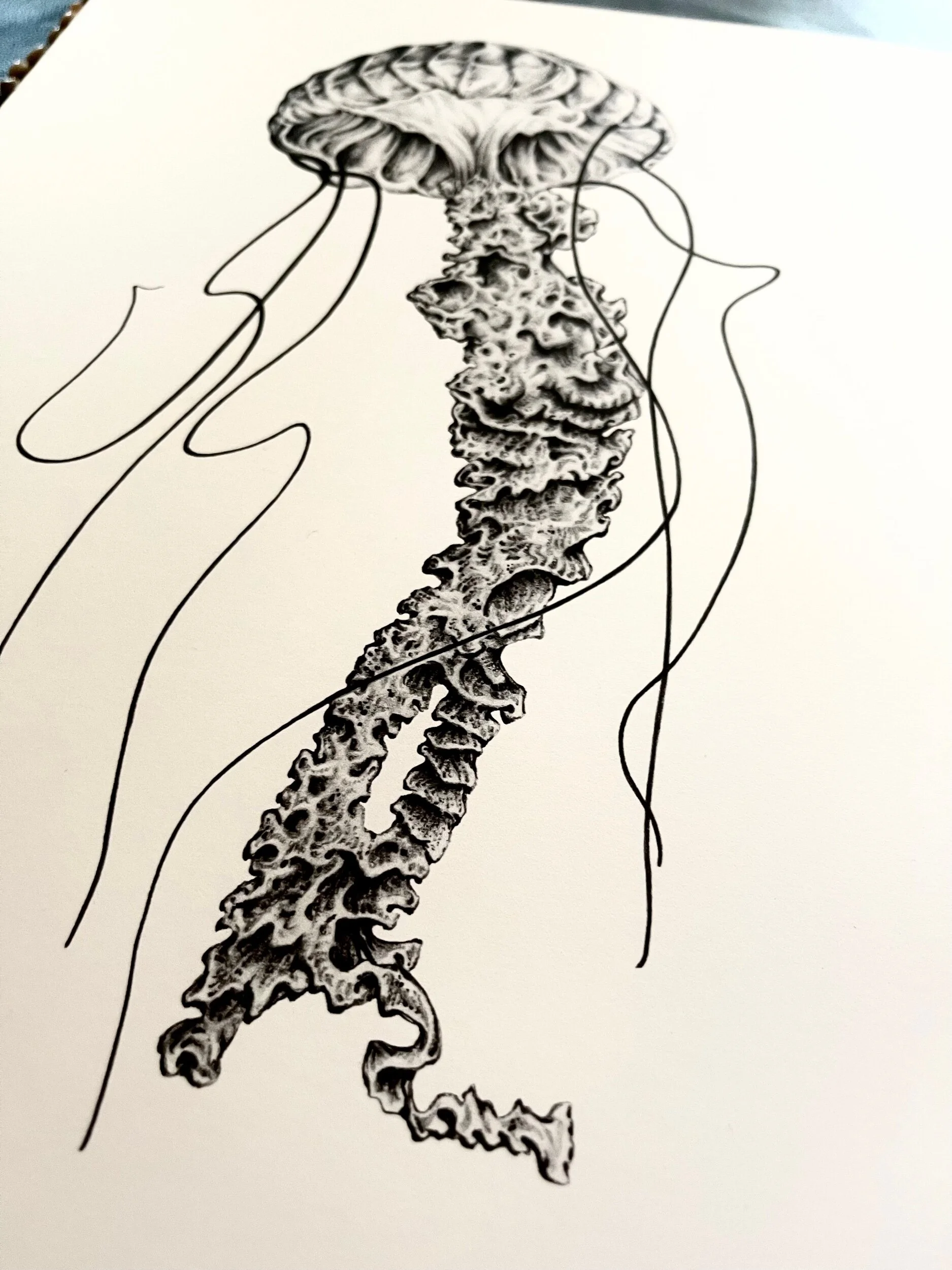 3CB29239-7BA7-42C0-AFB2-278A7203F9D6