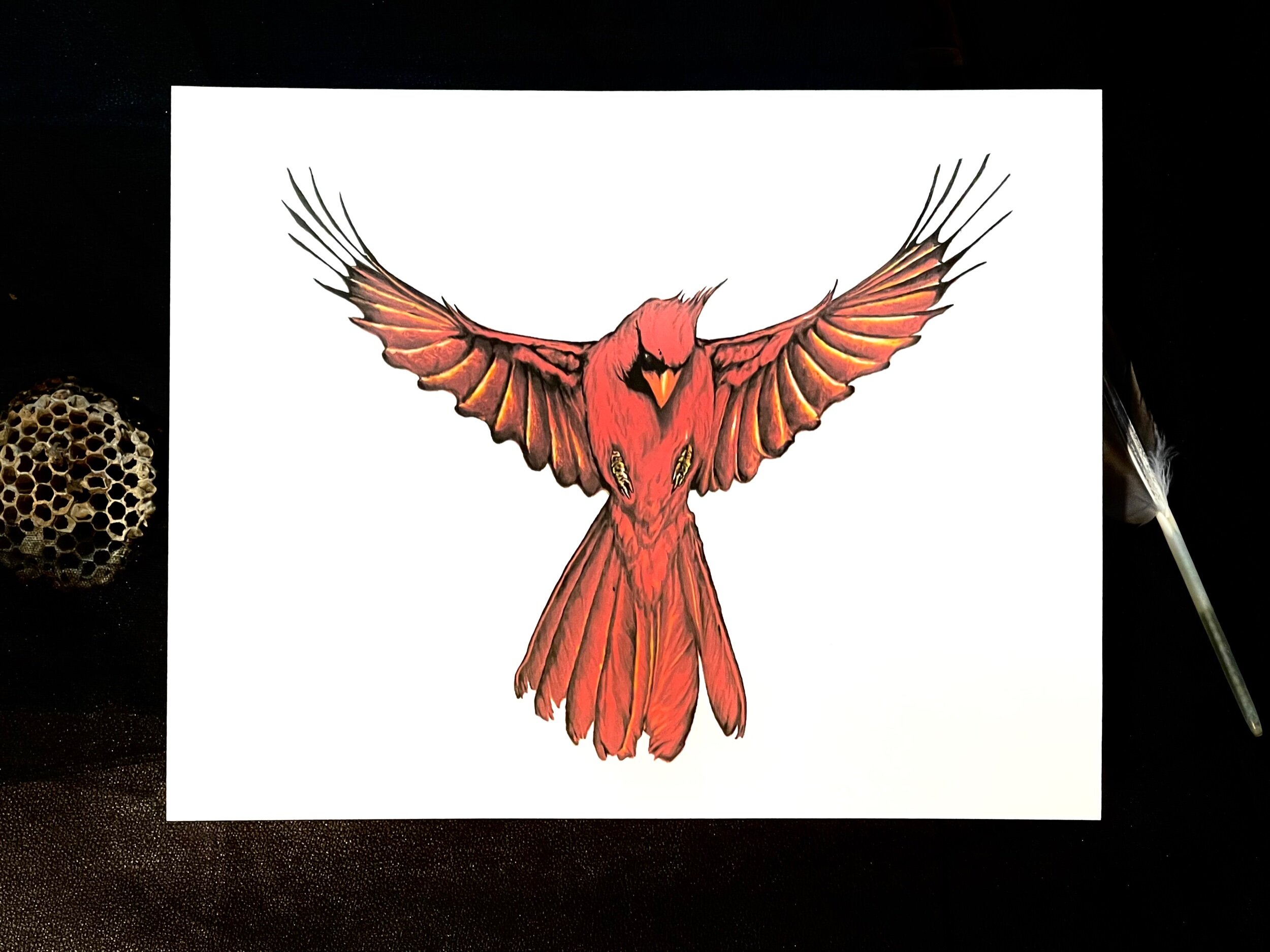 558F36C6-FA4F-431A-ABBB-1EEB715E5AD7