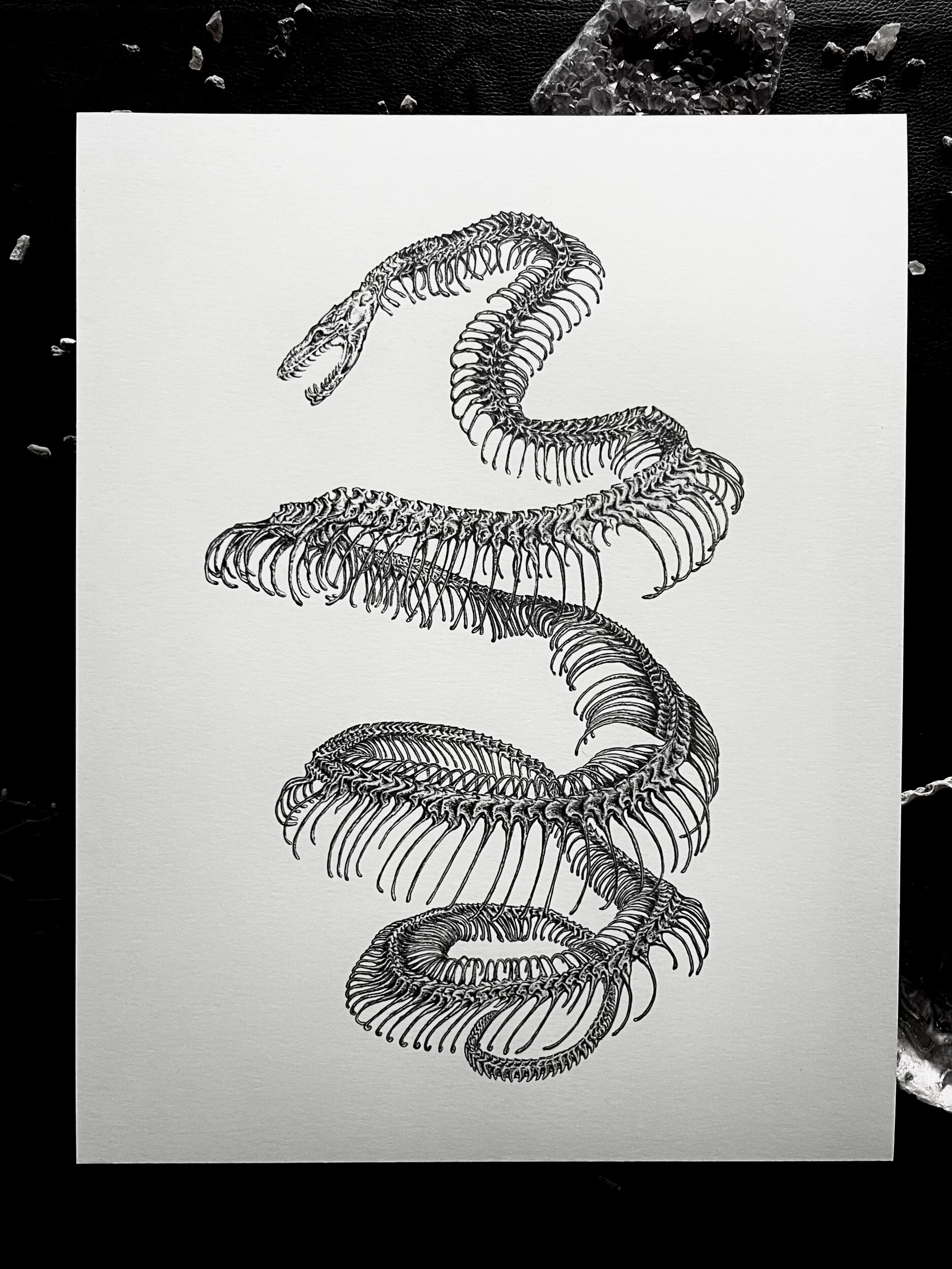 5B09EBC8-5CA6-46D1-AB2B-4FE44323B3D1