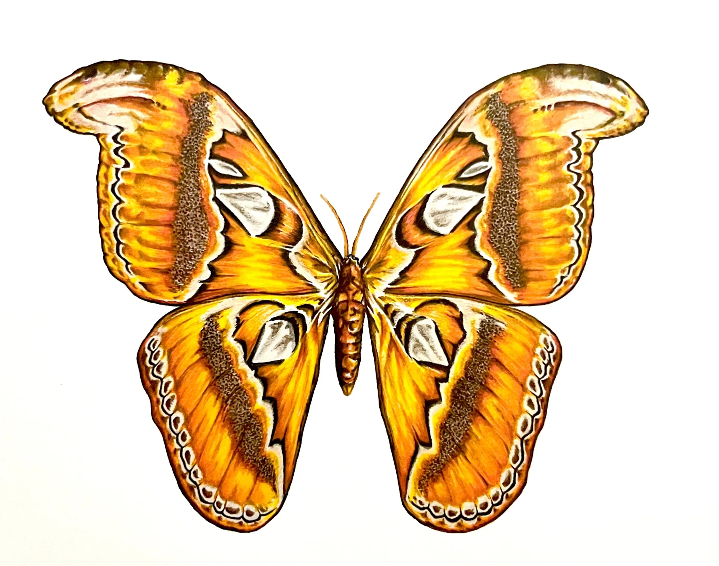 20B7CCD1-AEAB-46BB-AF6A-934E9DD2D3E4