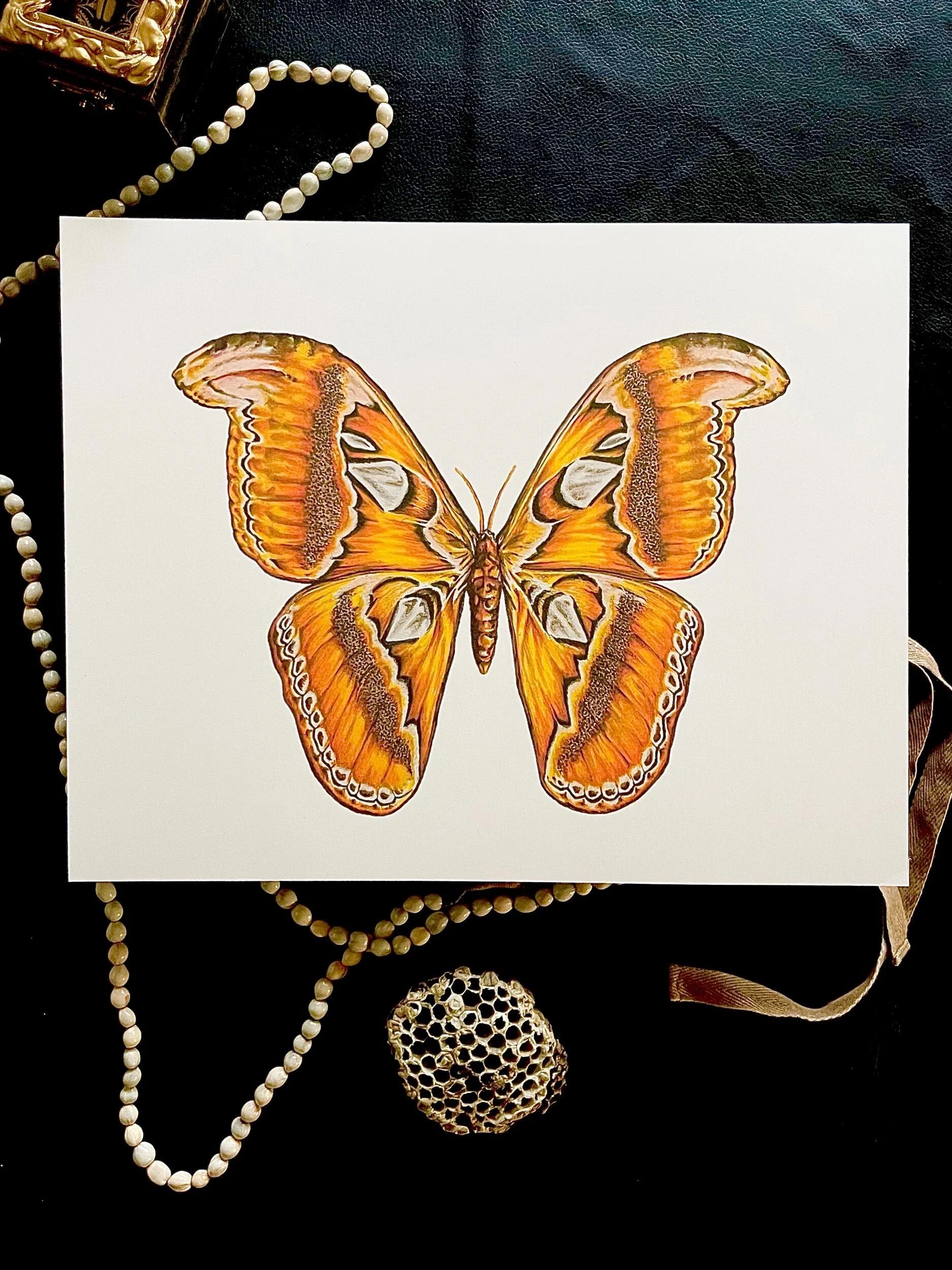 0C5B23C7-4B0F-4461-A13C-29B11C7C24C2