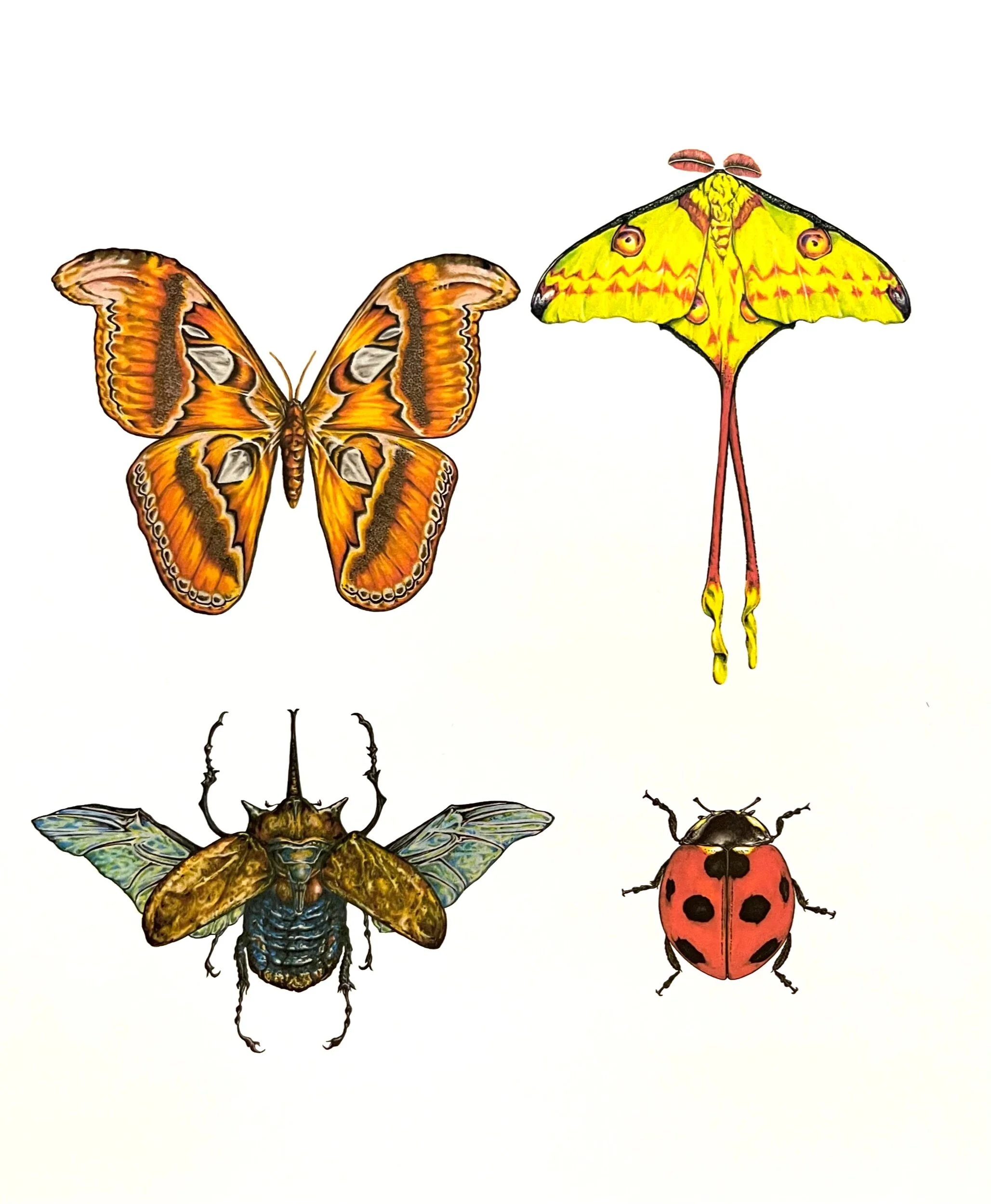 9C3B3FC4-32F2-49CC-9B57-745F7864F8AF