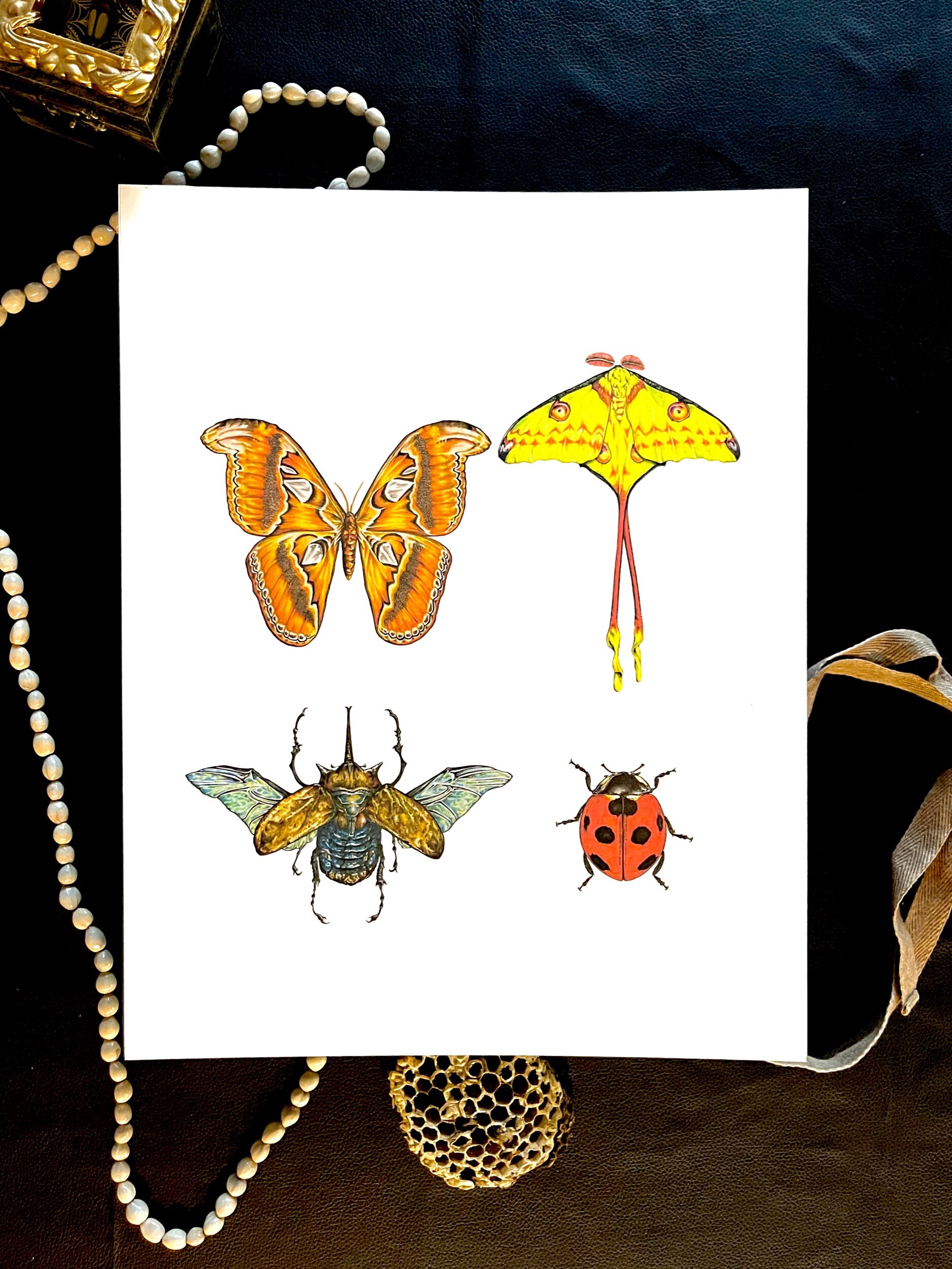 EE8CD8A2-AB98-4844-A738-87F7EE1196A9