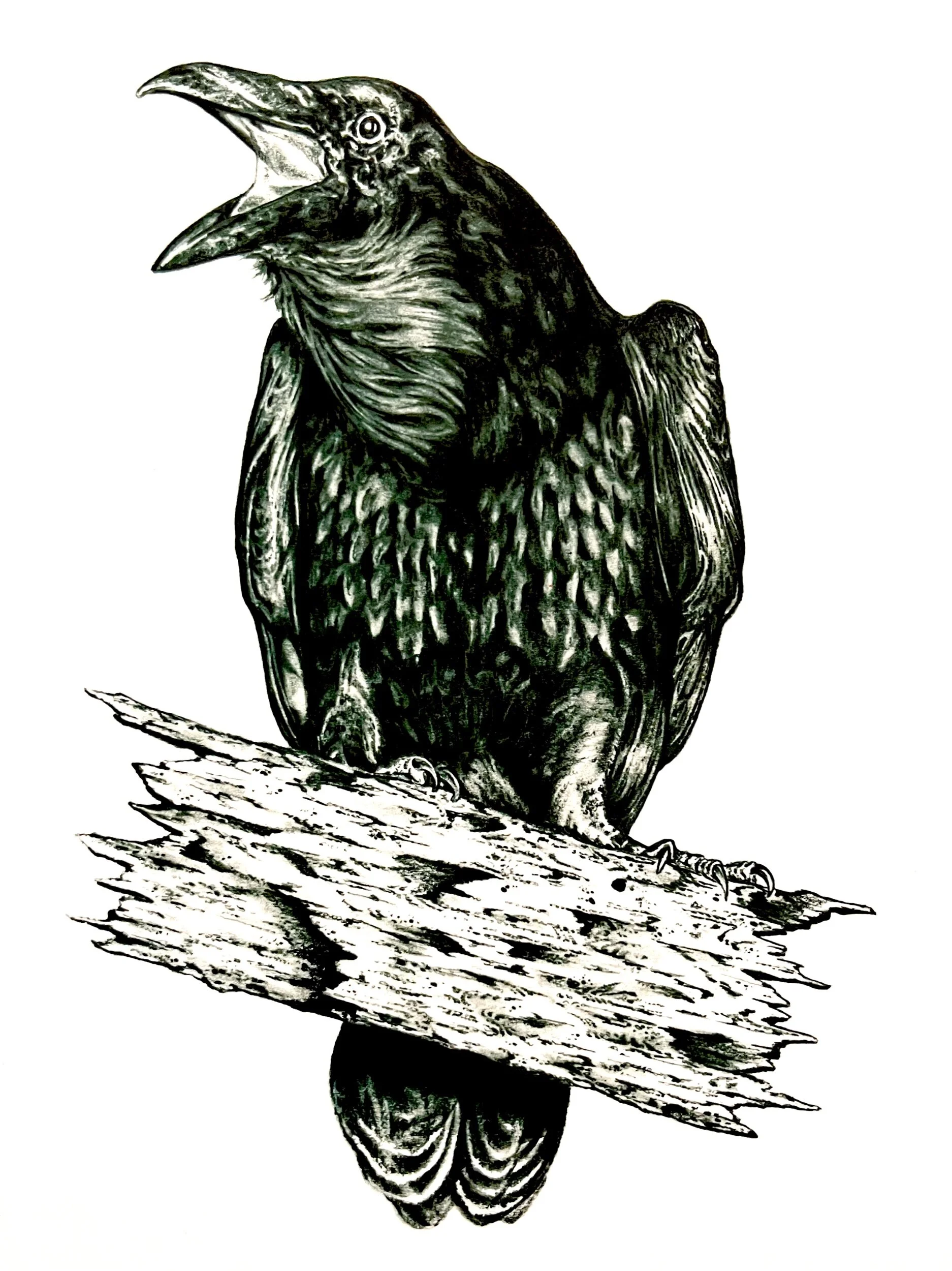 4BD12904-483A-44E8-942F-1B579AE7BCB5