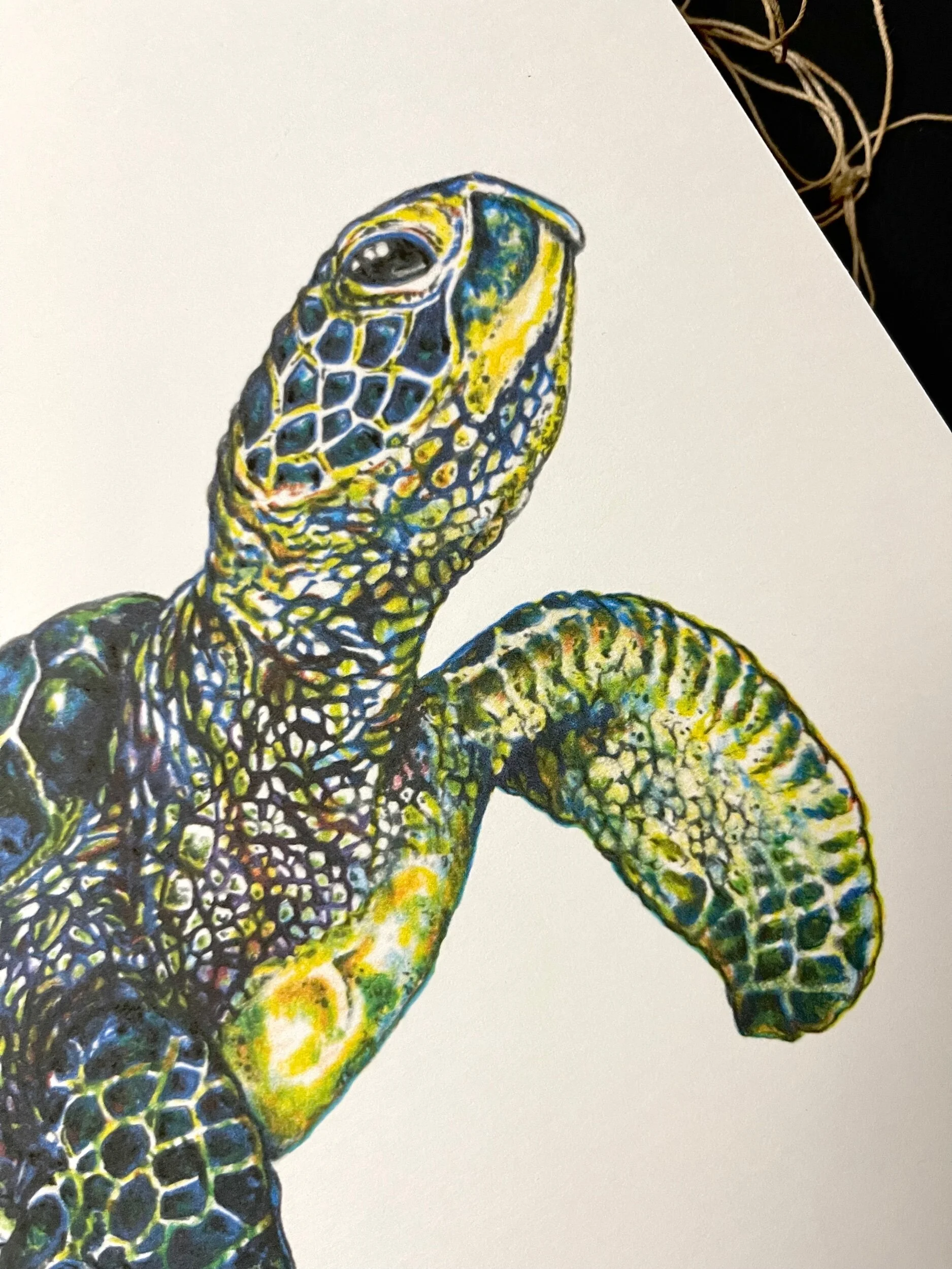 5E102A52-9C63-4D9A-989C-EFB731383A70