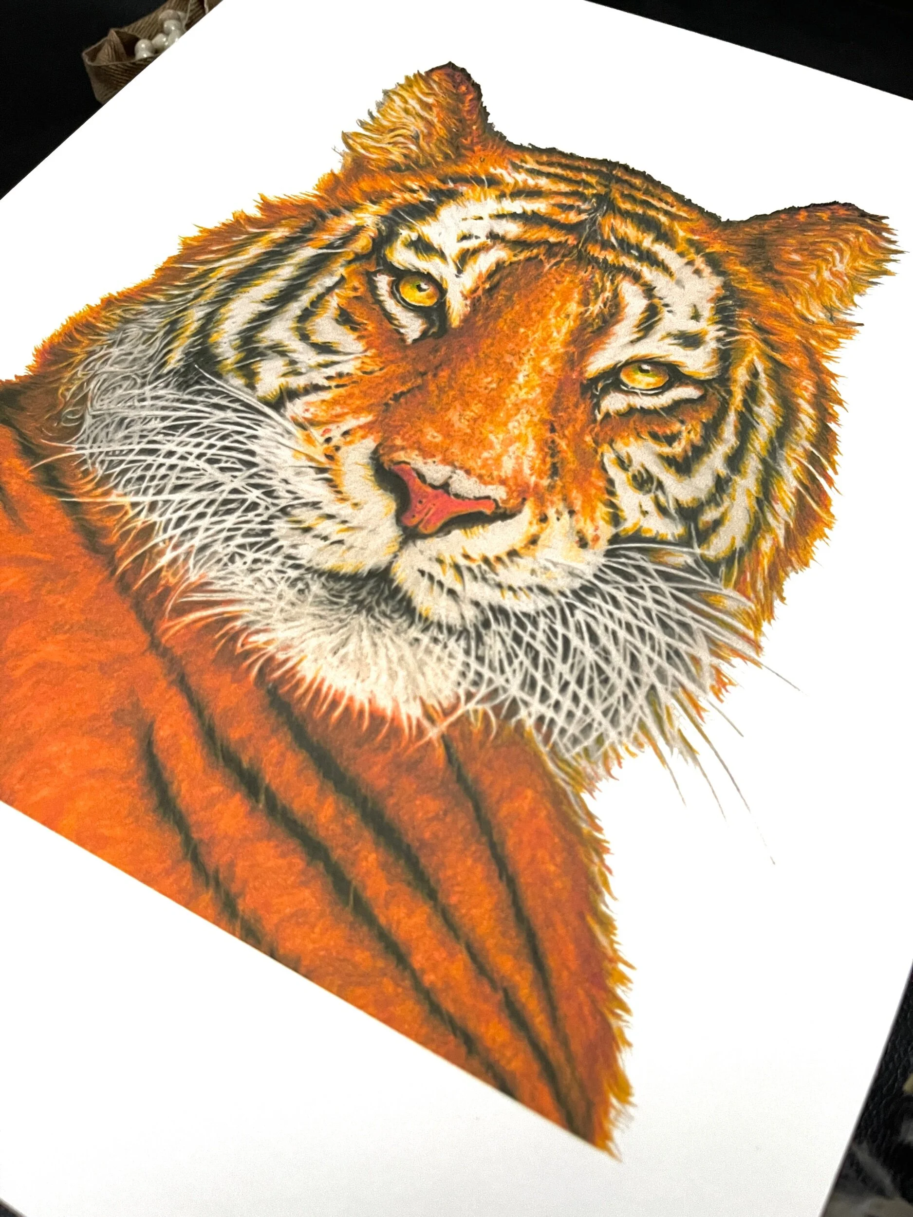 5A0B2724-8CBB-4987-A8DF-6B44BF9BB1C6