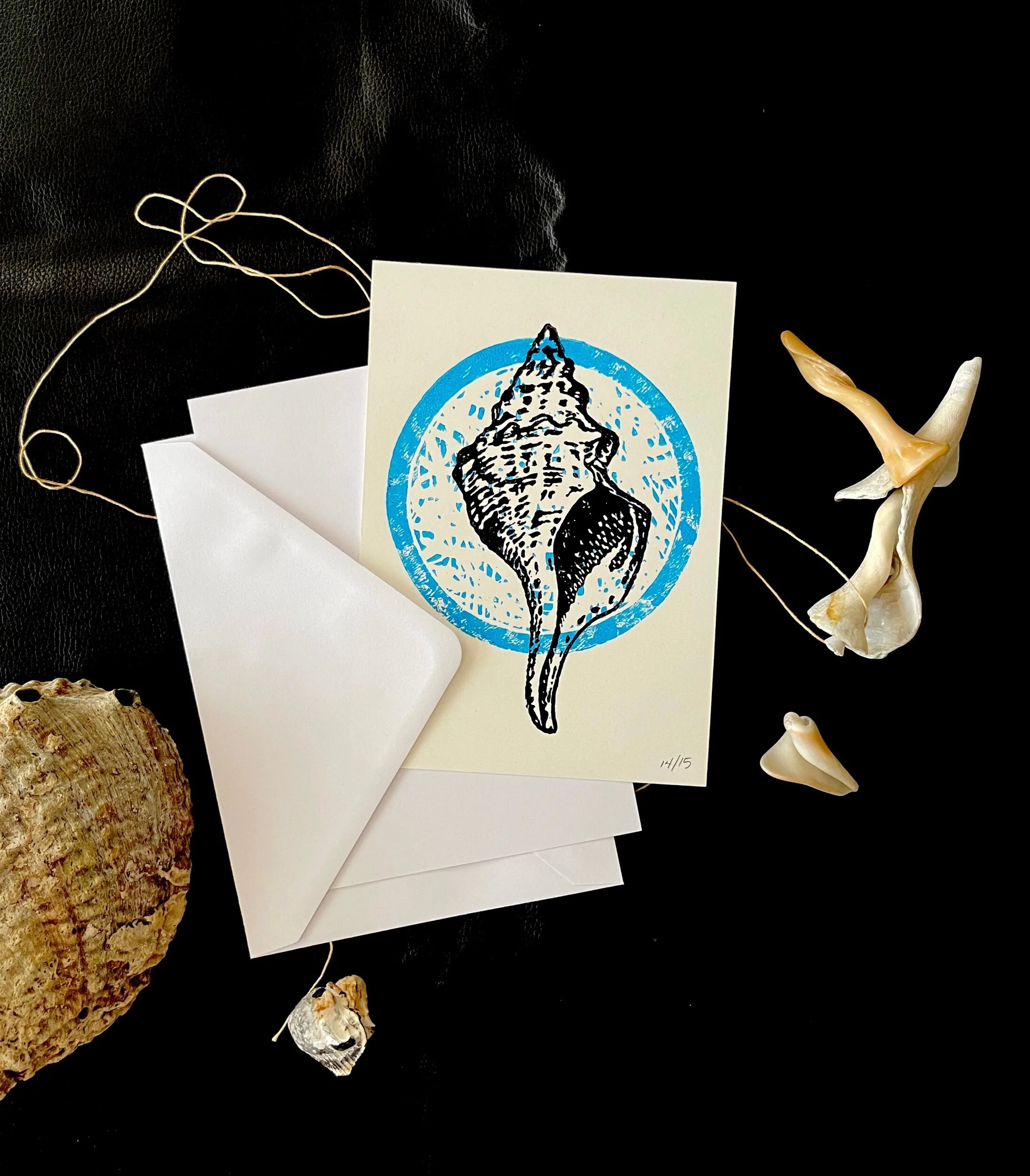 D6997E03-2DCB-49B4-BDA4-C6939B88E340