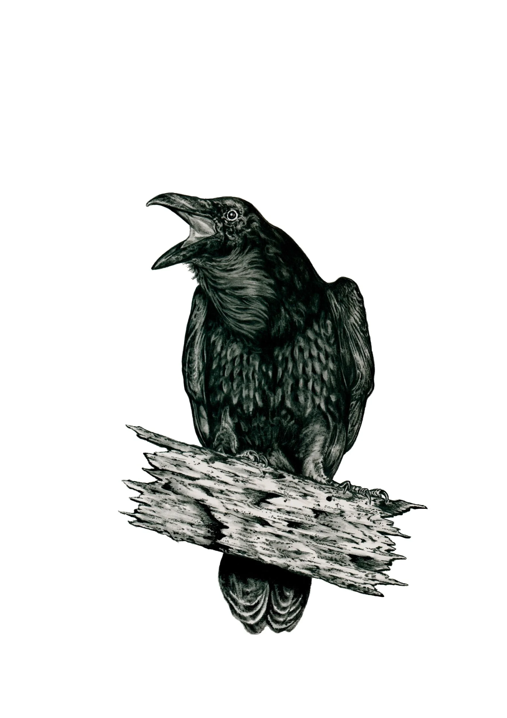 4E69C8F9-5A9C-4787-B491-2FC52D77F033