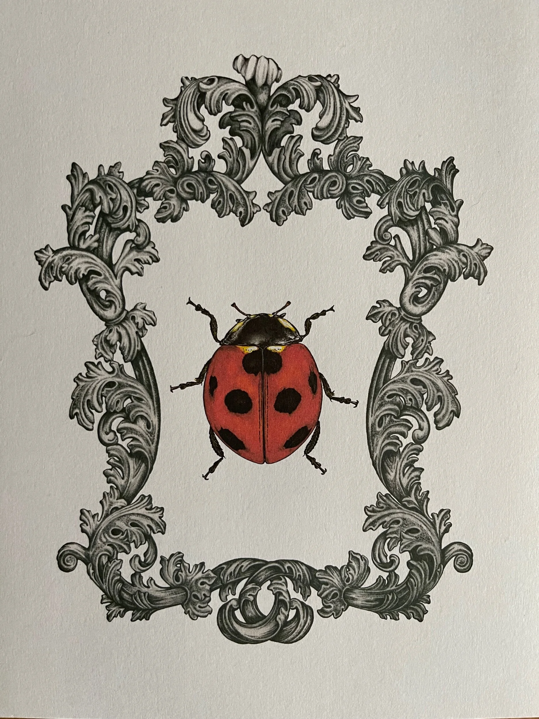 53F7A88A-4AB6-441D-8FA2-52866DEADB77