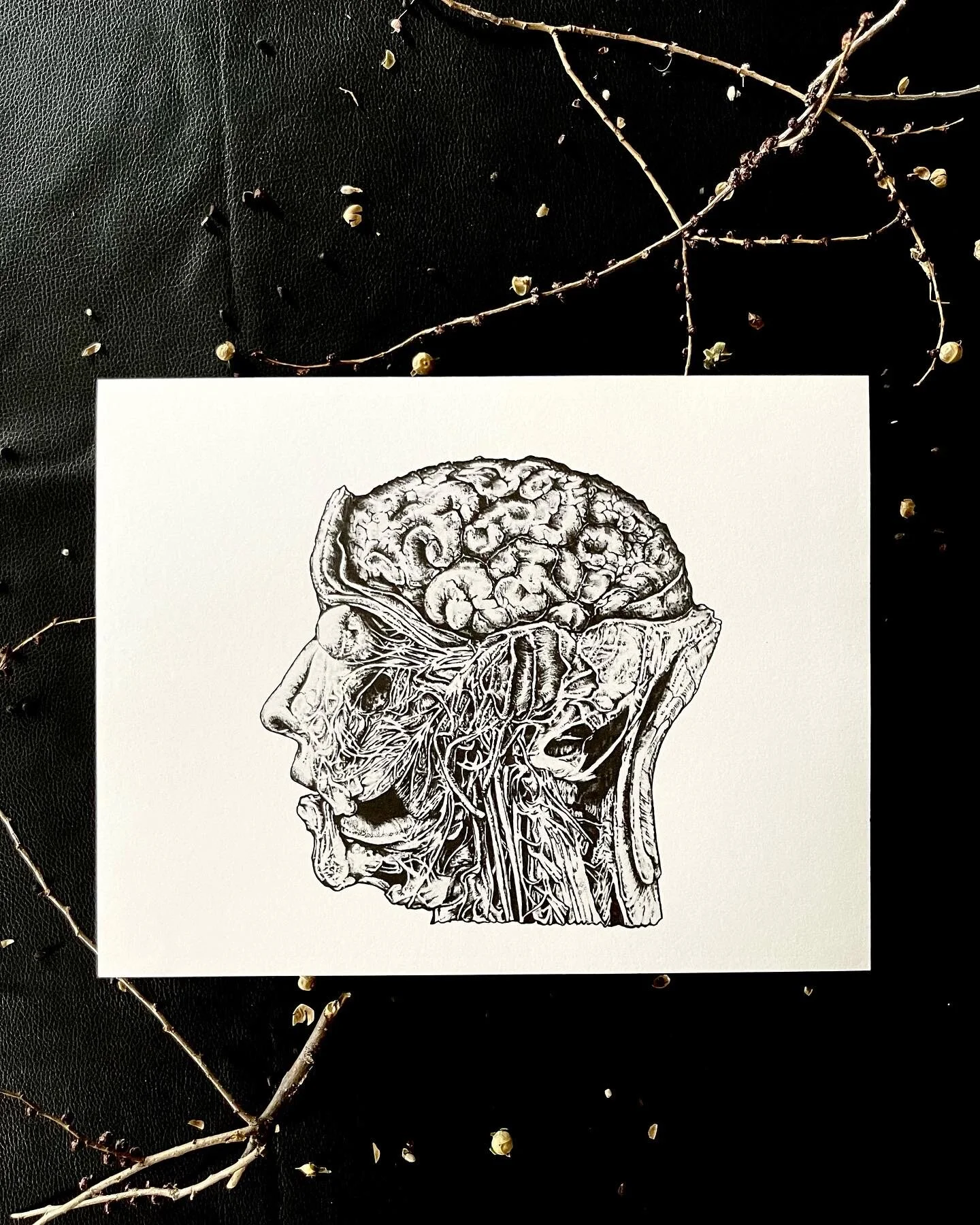 76D671BA-C4FF-4A17-819F-AA6D67B8EB39