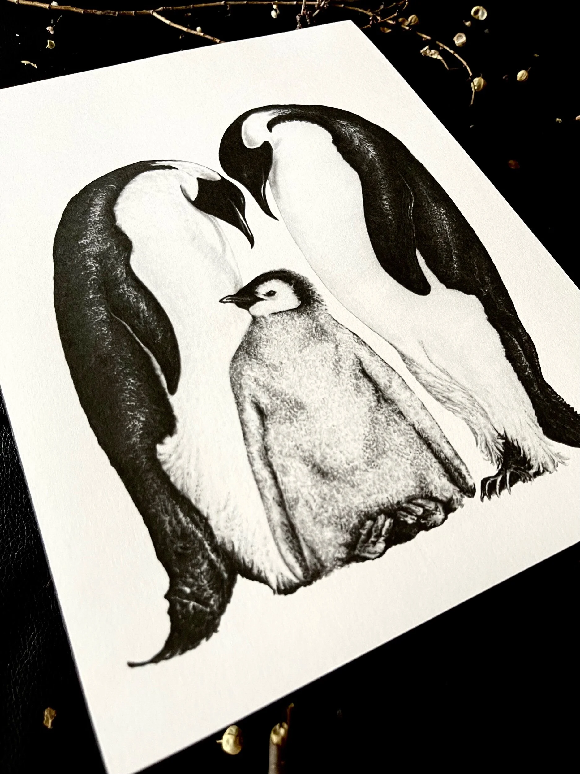 CFE62573-00E5-4462-9DF5-FE15C8C7C046