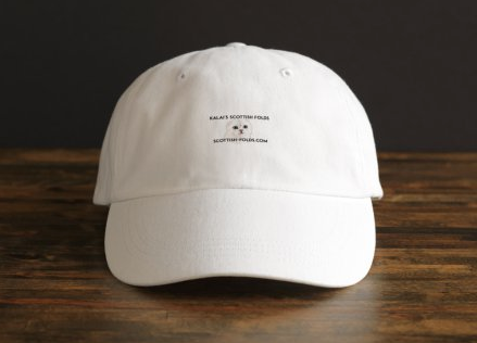Hats $21.00