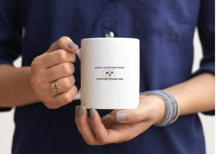 Coffee & Tea Mugs $20.00