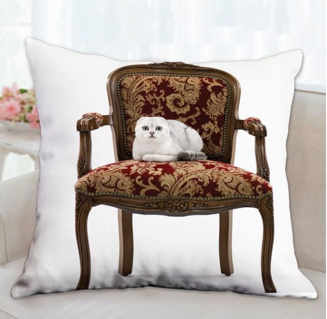26x26 Inch Pillow $50.00
