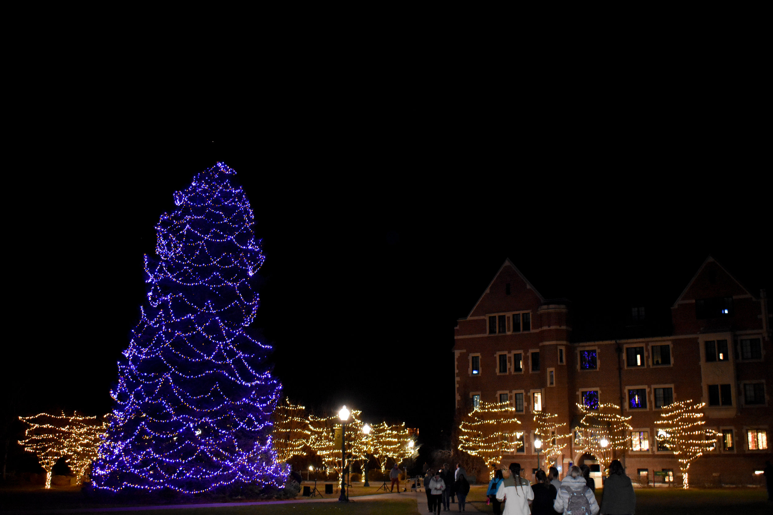 Tree Lighting 12.jpg