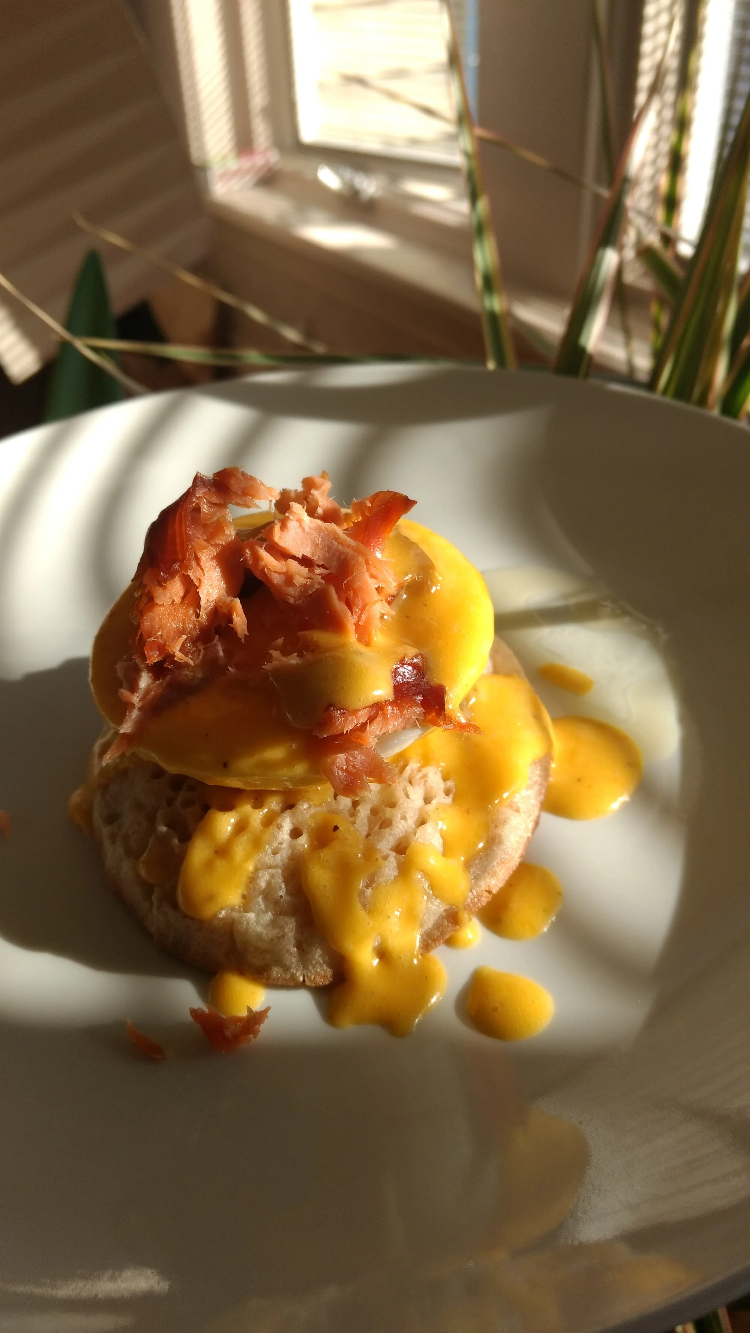 Ingredients: 4 English muffins, 4eggs, 1 package Wild Alaska smoked salmon, hollandaise sauce (make your own or use our recipe below). 1. Make hollandaise sauce. For our recipe (serves 4), you need: 6 tablespoons clarified butter, 3 egg yolks, 2 teaspoons fresh lemon juice, 1.5 teaspoons hot pepper sauce, salt and pepper to taste. In a blender, blend the egg yolks, lemon juice and hot sauce until foamy and a little bit thickened. Heat the clarified butter just until it is liquid - you don't want it hot. With the blender on the lowest setting, very slowly add the butter. Season to taste with the salt and pepper and put somewhere warm until you are ready to use. Don't cook it! 2. Poach the eggs, toast the muffins, and flake the smoked salmon. Heat the smoked salmon either in a microwave, in a sauce pan on low heat, or in the oven on a cookie sheet. 3. To assemble, top the muffins with a poached egg, smoked salmon, and hollandaise sauce. It's well worth the effort, -Adelia and Tollef