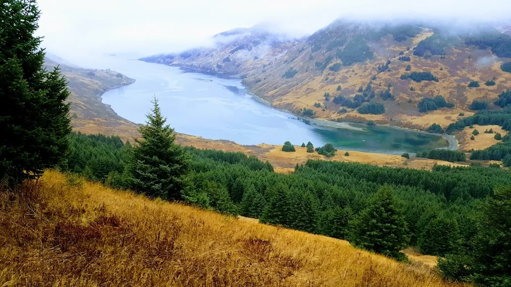 onion bay fog.jpg