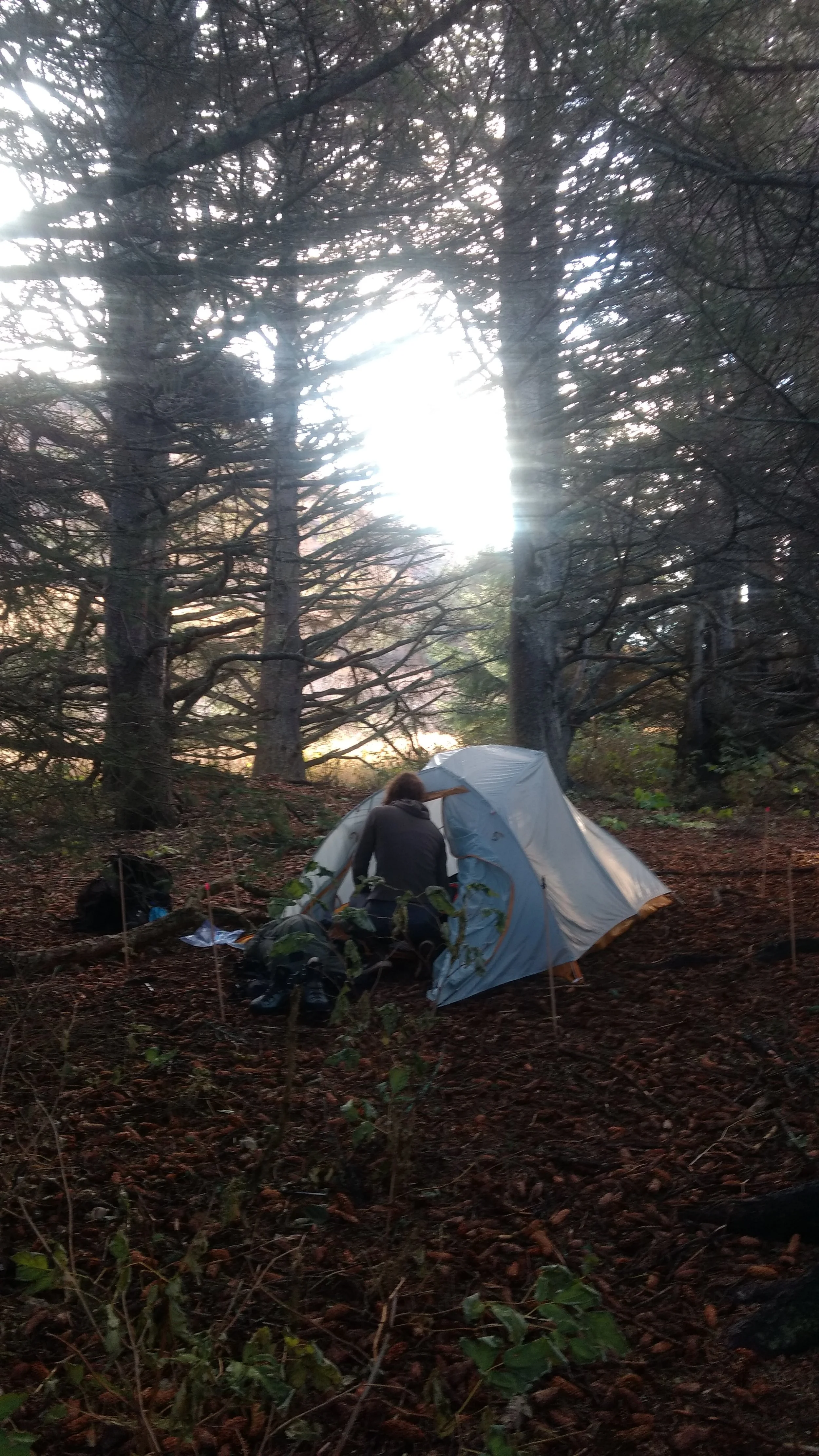 tent.jpg