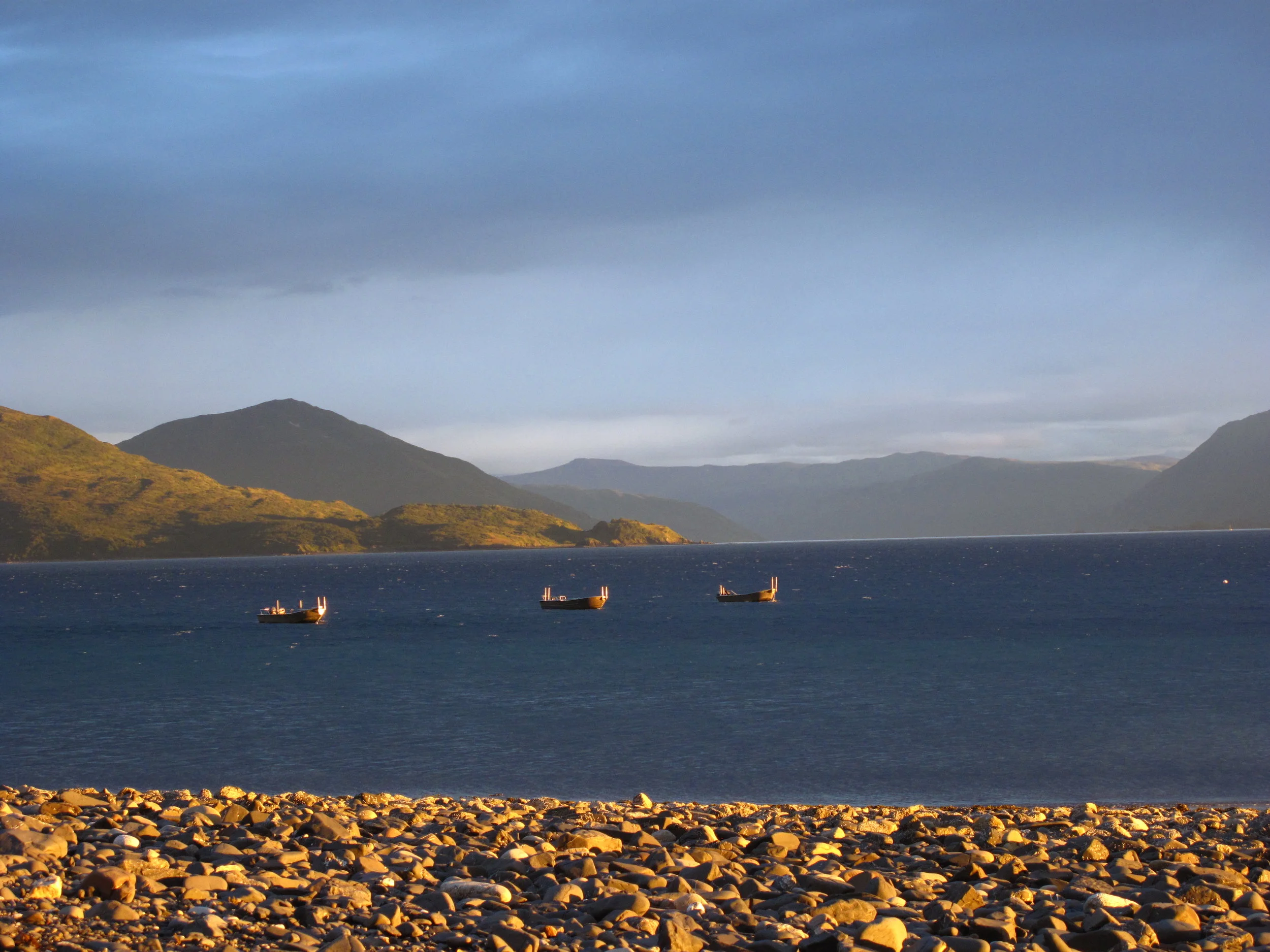 Skiffs on the running line at Trap 6