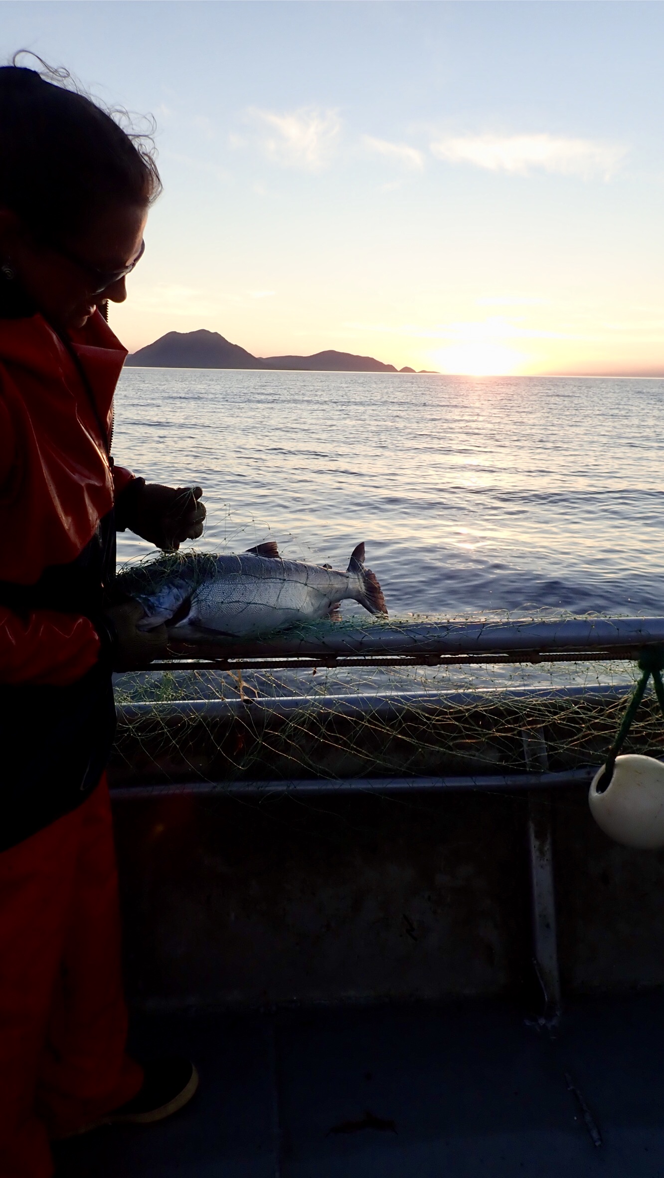 Adelia picking a coho, late evening, early September.