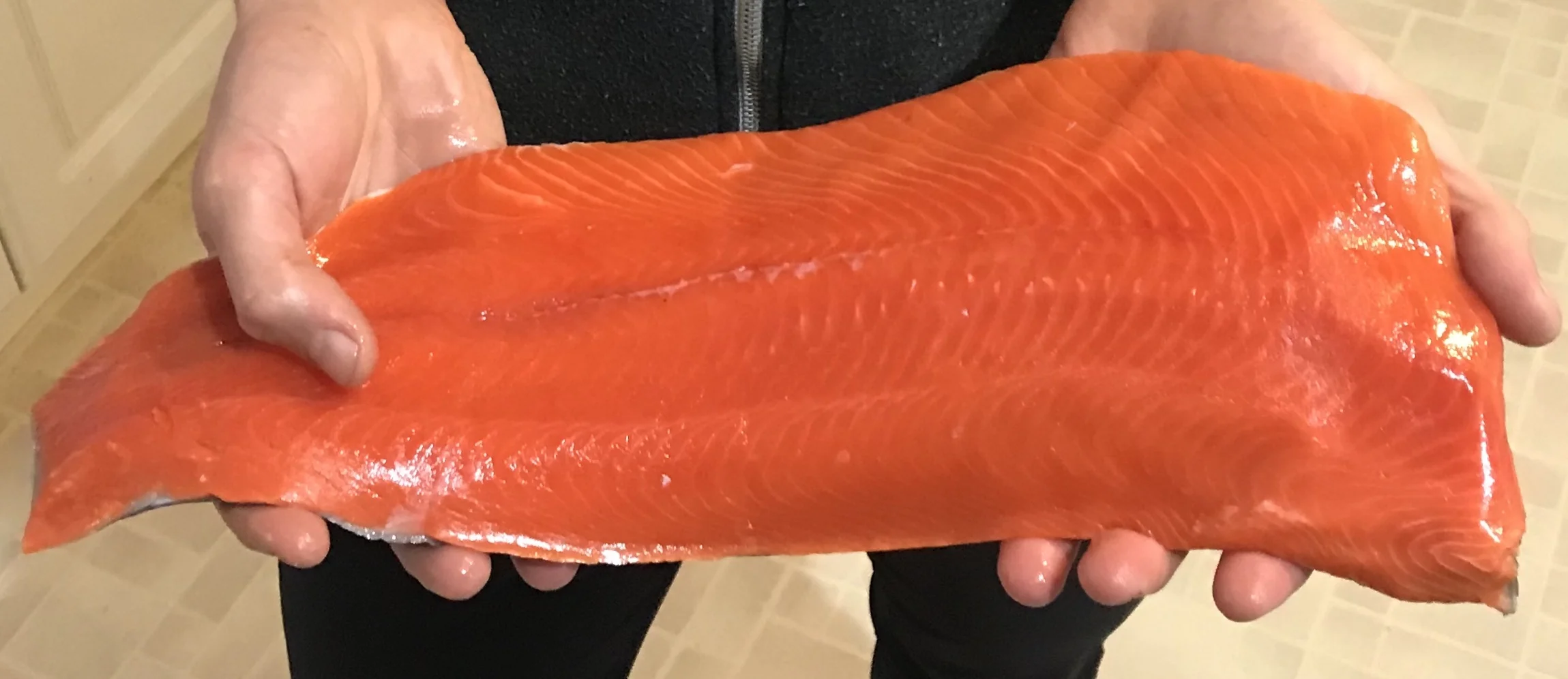 a holding fillet crop.jpg