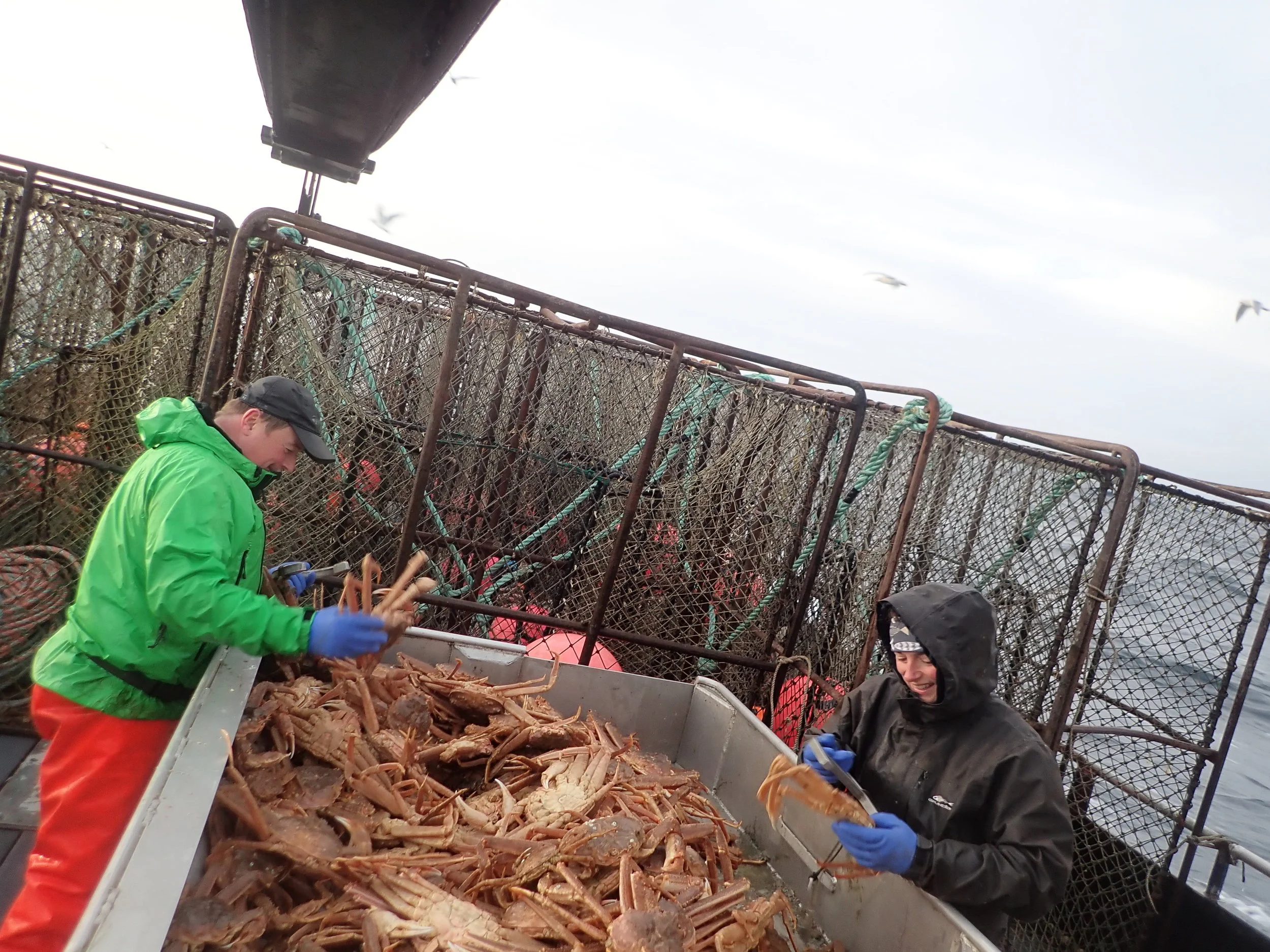 Patrick and Adelia measuring crab with a deck full of pots.