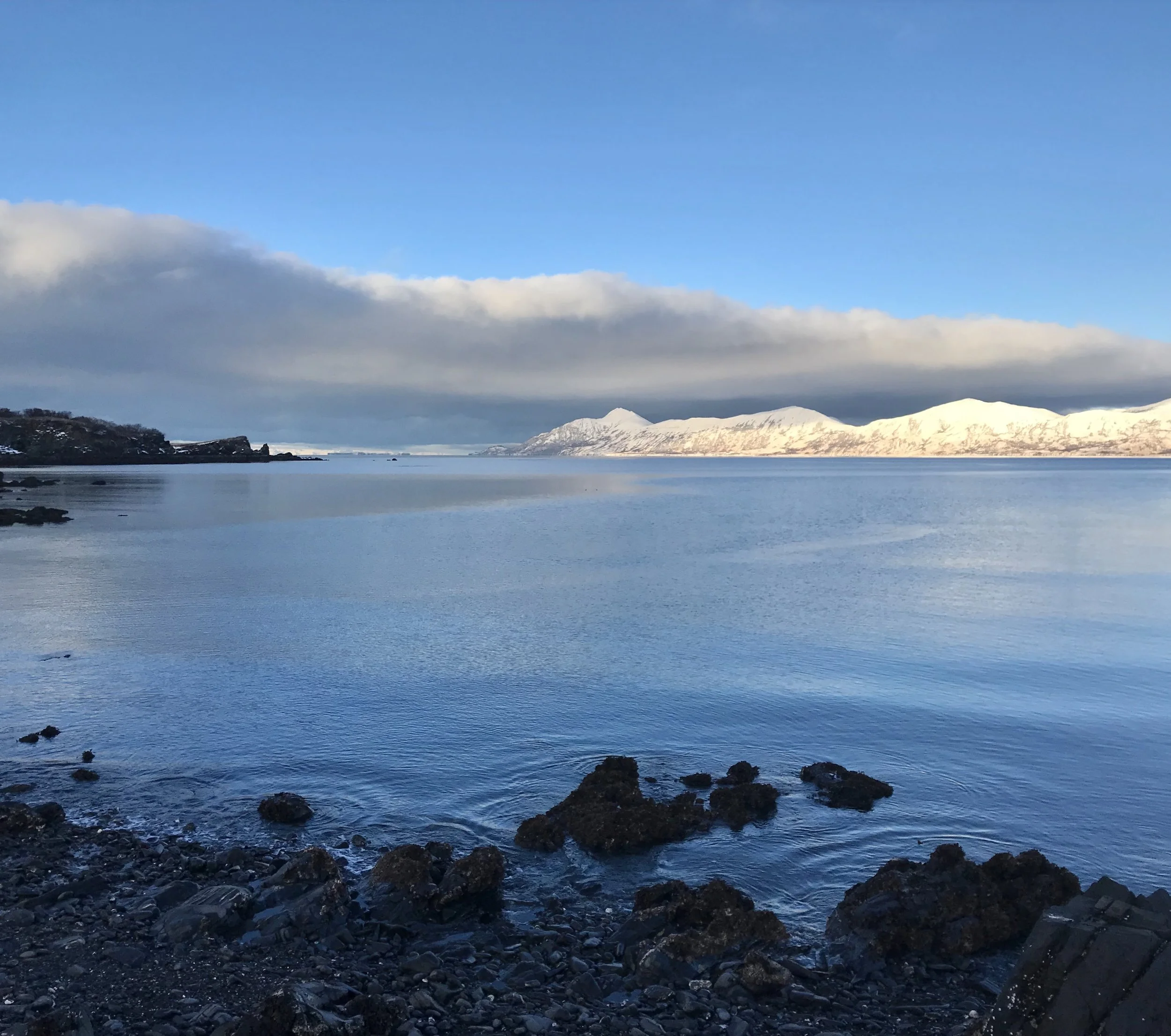 Winter Solstice Thoughts