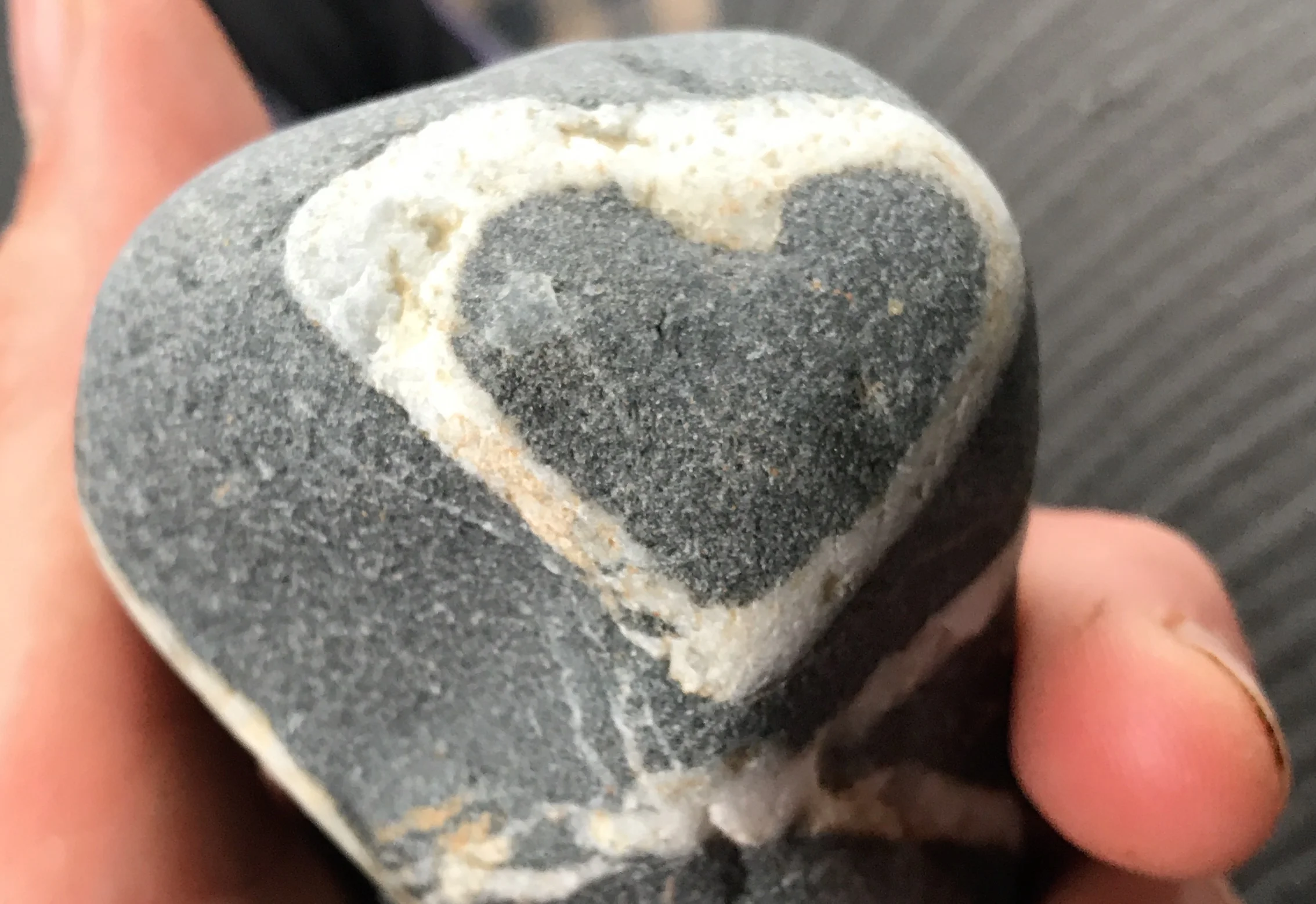 Happy Valentine’s Day from our beach